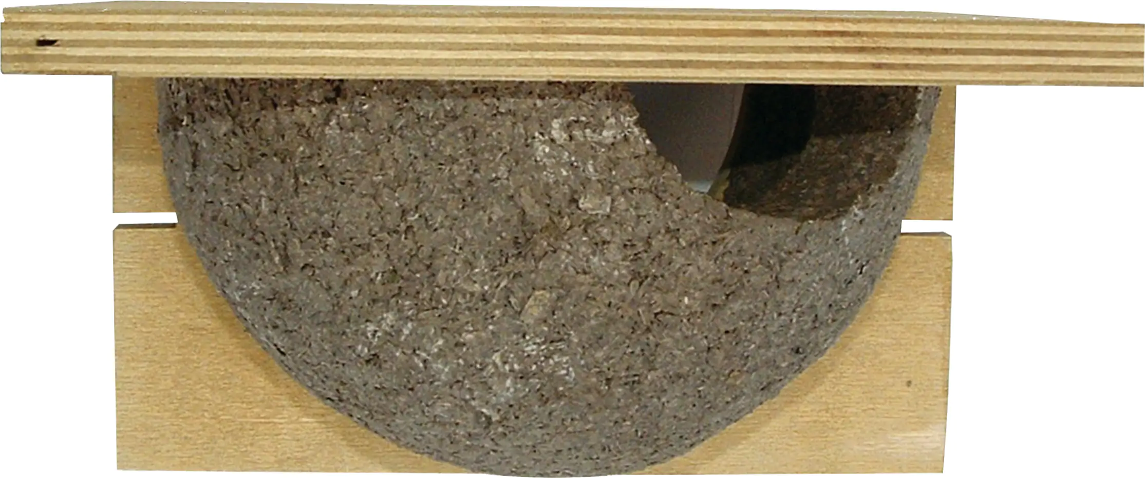 CJ Wildlife Nistkasten für Mehlschwalbe Cancun 16 x 20 cm natur
