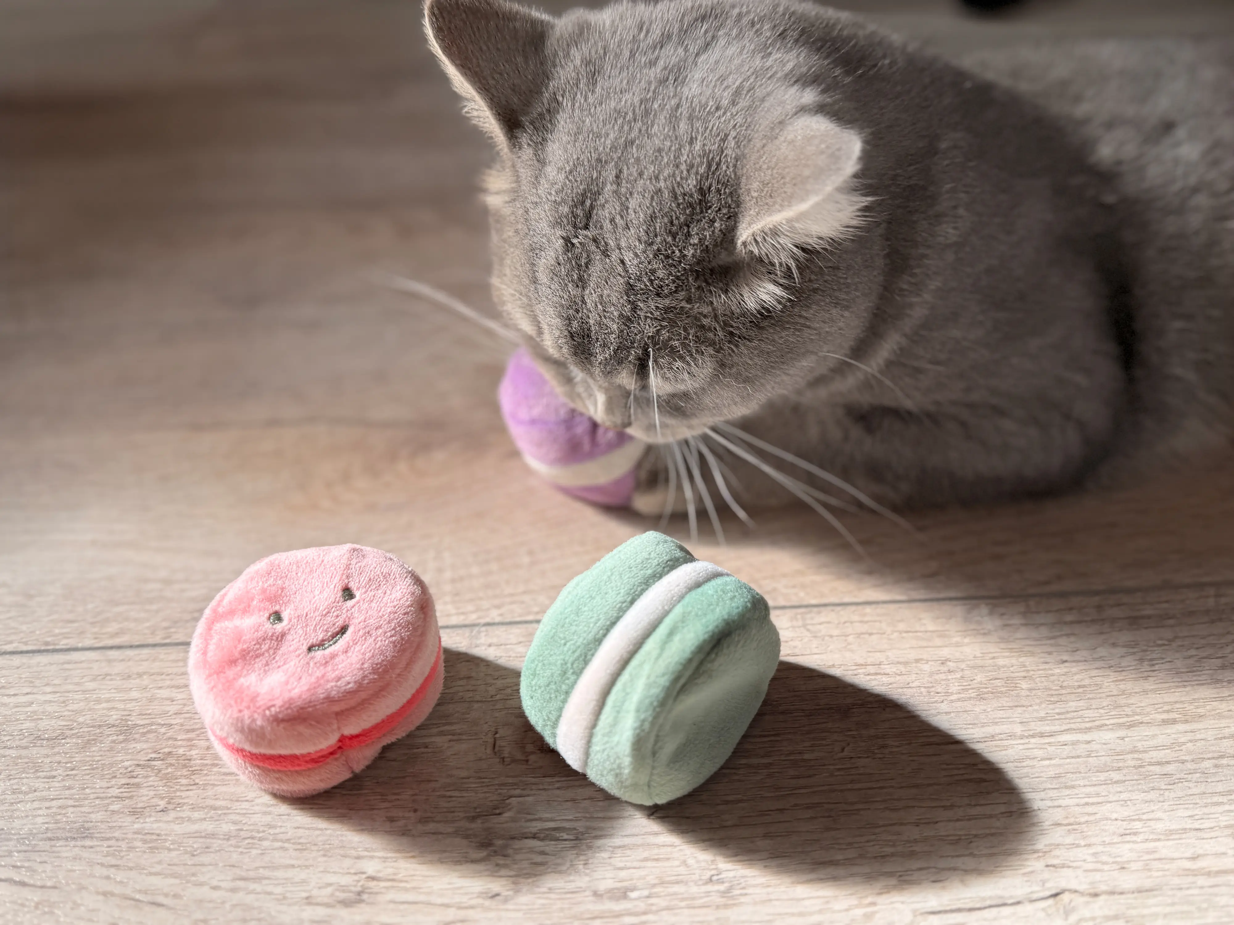 Aumüller Katzenspielzeug Kissen Macarons 5 x 4 cm 3er Pack mehrfarbig
