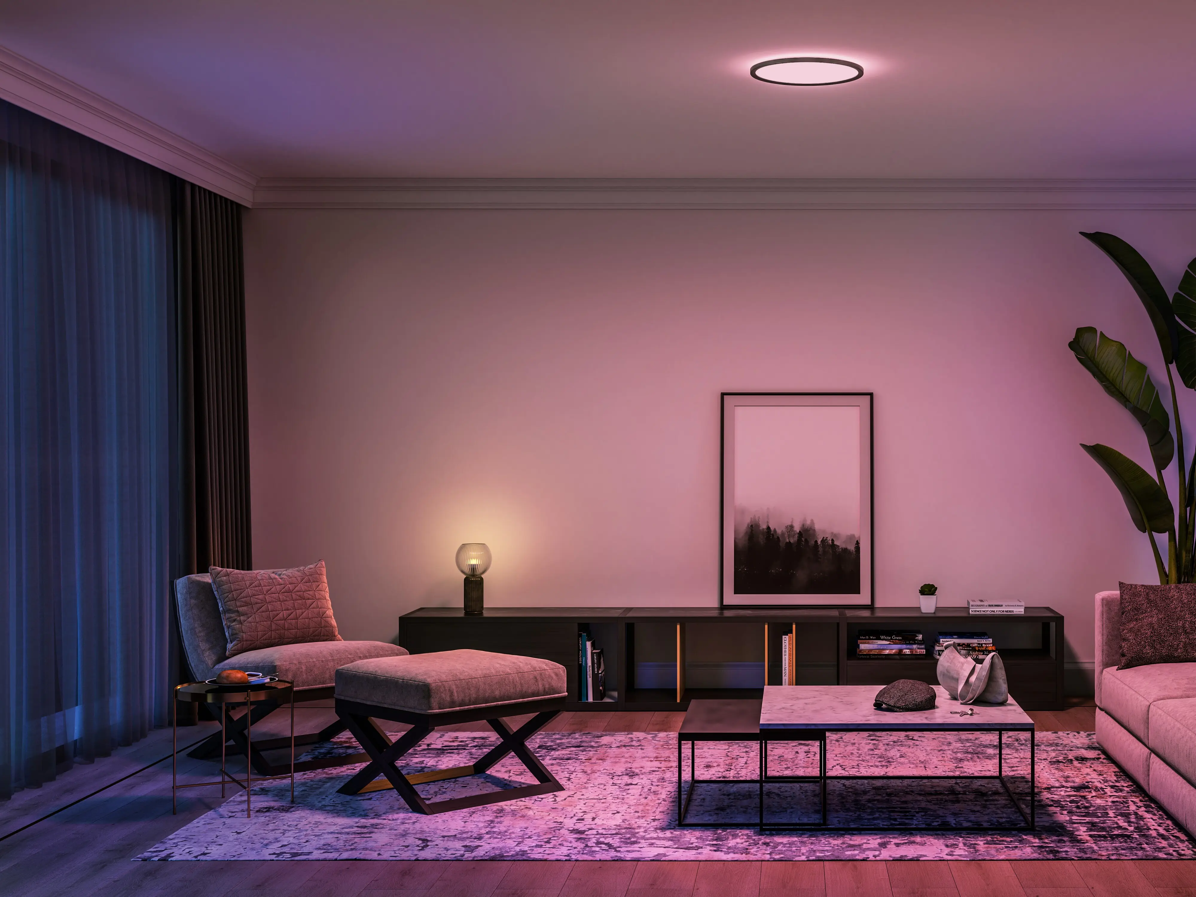 Philips Hue LED Deckenleuchte Tento rund schwarz 43 x 3 cm RGB