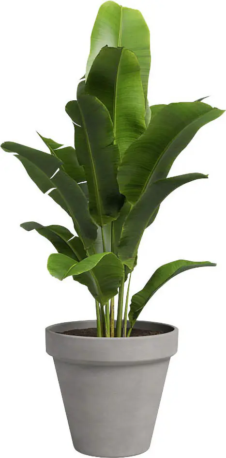 Artevasi Pflanztopf Amália Terrakotta grau Ø 23 x 21 cm