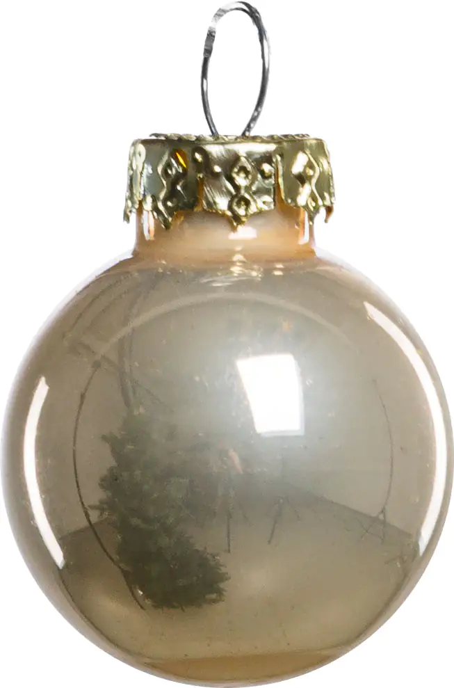 TrendLine Weihnachtskugeln aus Glas Ø 2,5 cm champagner 24 Stück