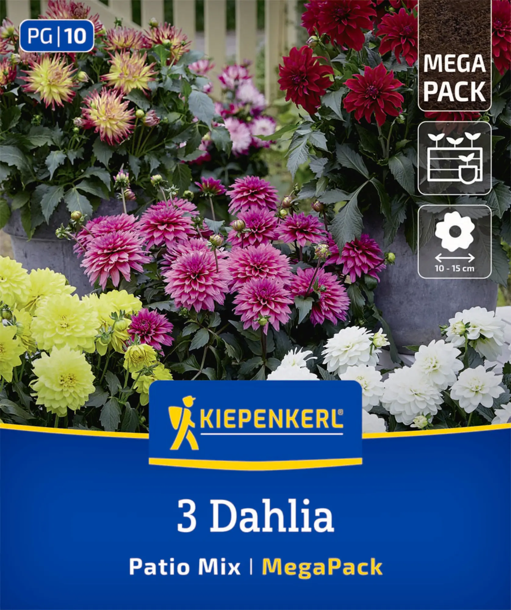 Kiepenkerl Mega-Pack Frühjahrsblumenzwiebel Zwerg-Dahlien Mischung 3 Stück