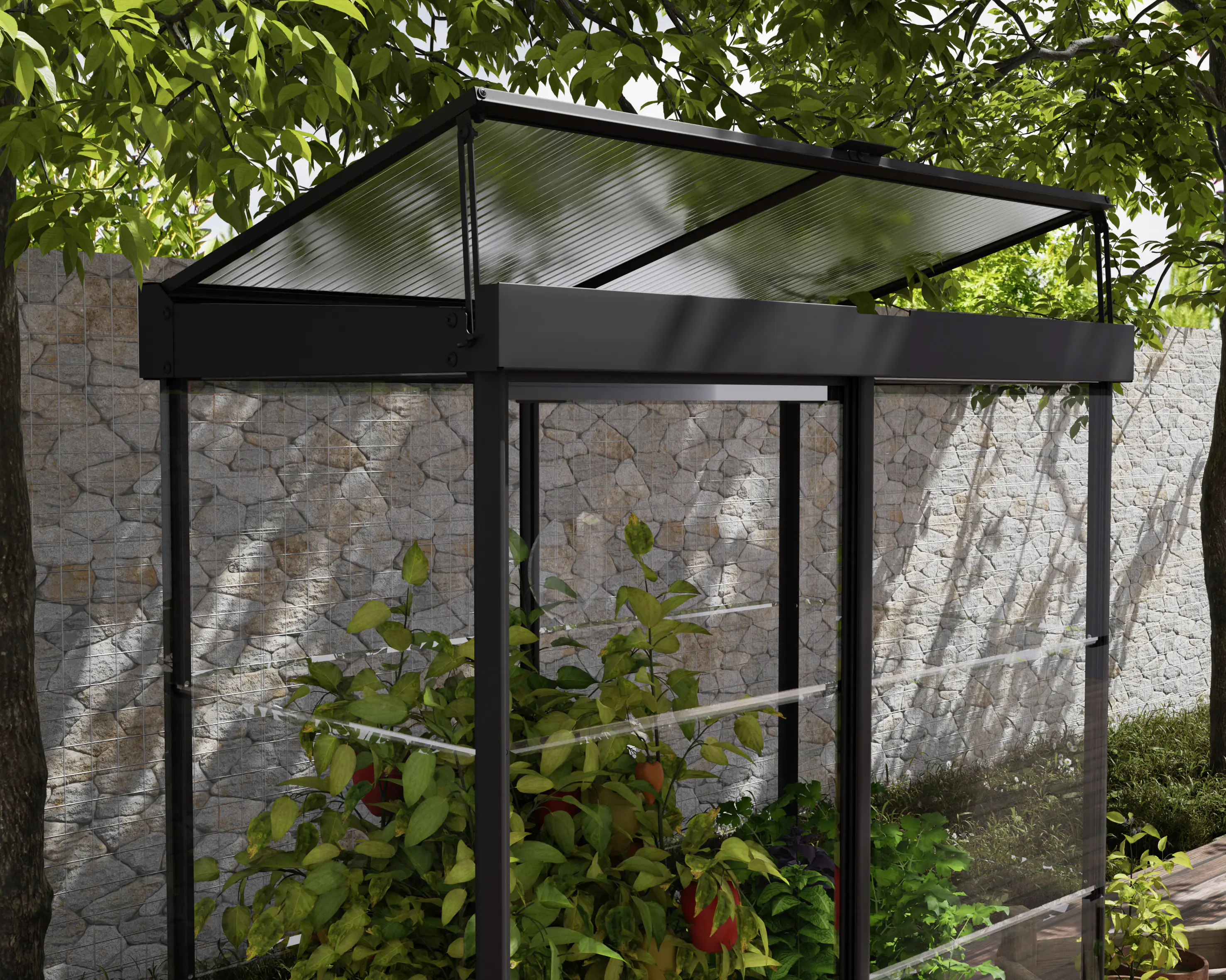 Canopia Minigewächshaus Ivy  Alu schwarz 66 x 63 cm