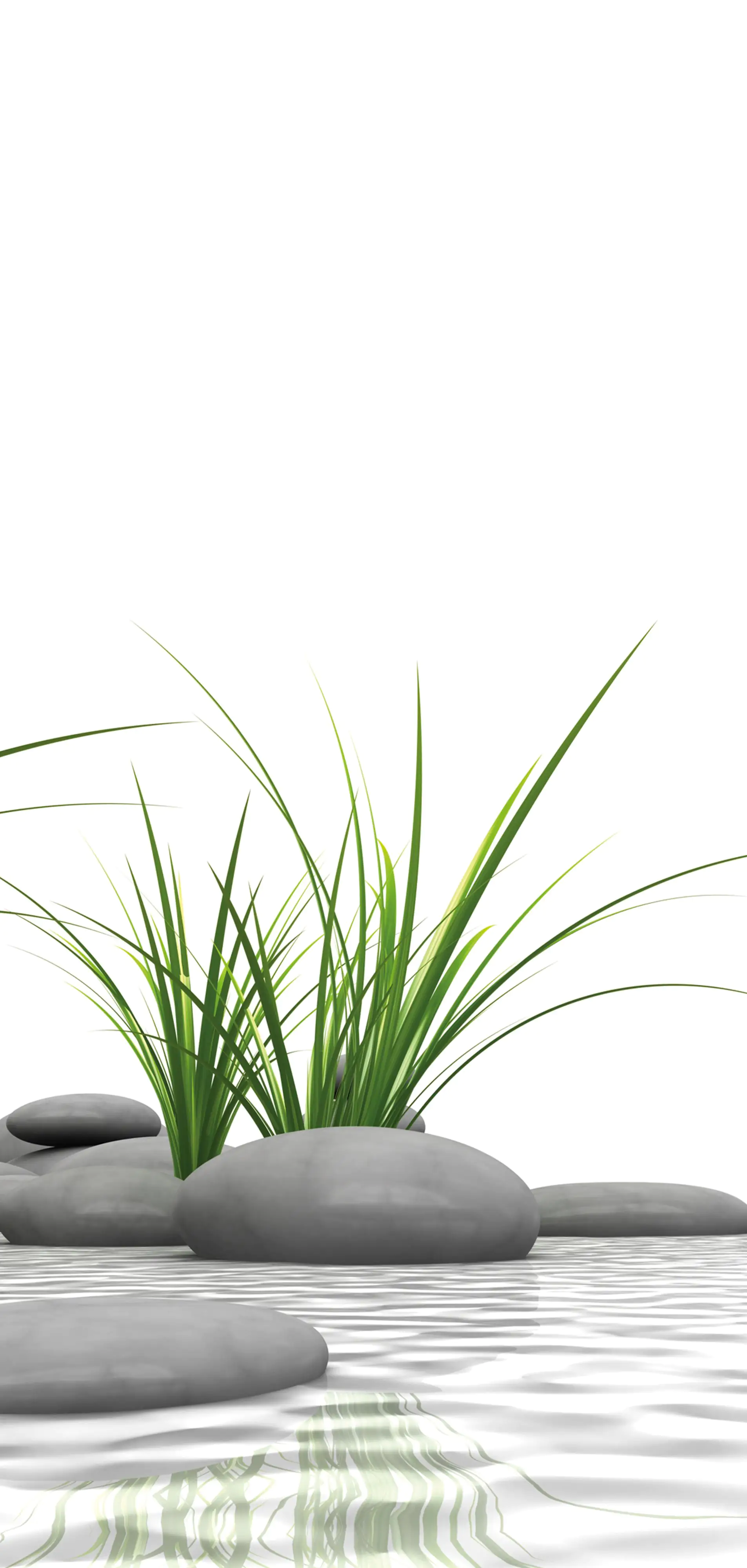 Schulte Dusch-Rückwand Zen-Steine und Gras 90 x 210 cm