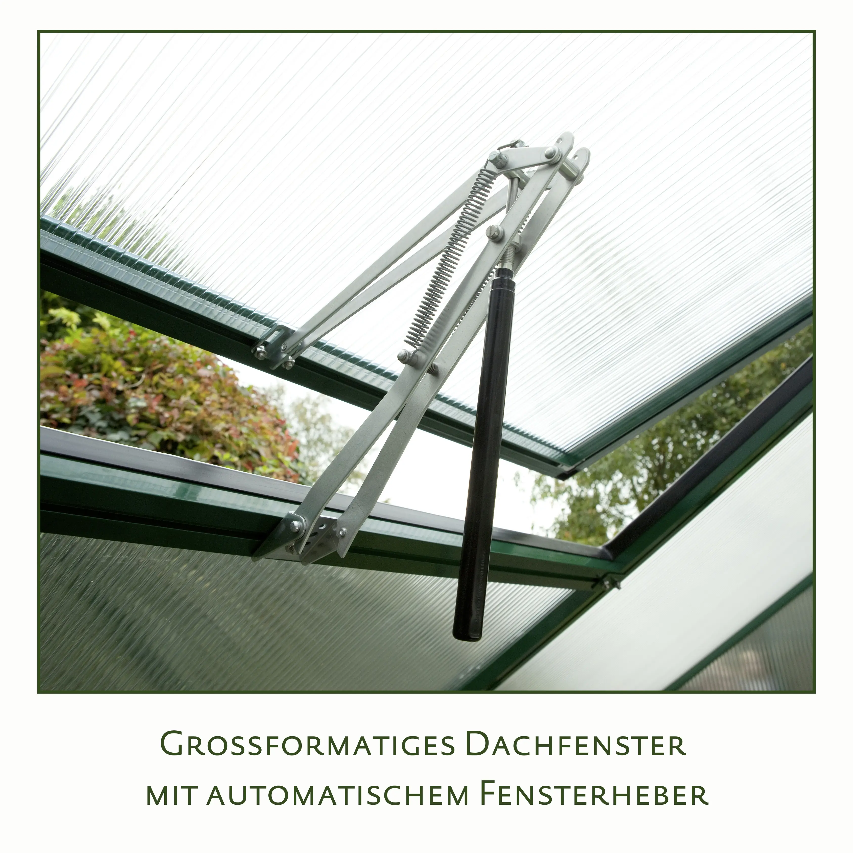 KGT Alu-Gewächshaus Rose II 233 x 217 cm