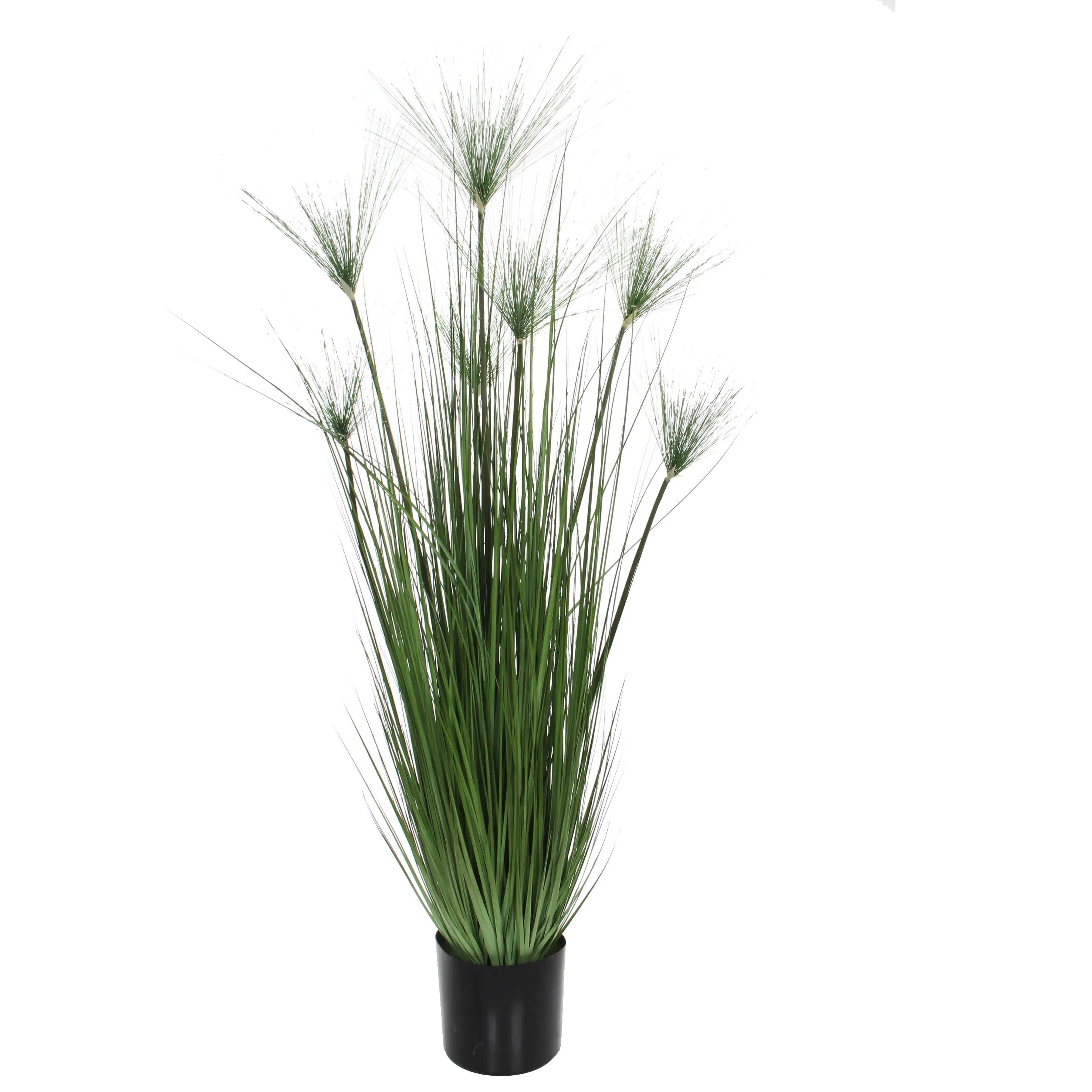 Mica Kunstpflanze Papyrus grün im Topf 150 cm