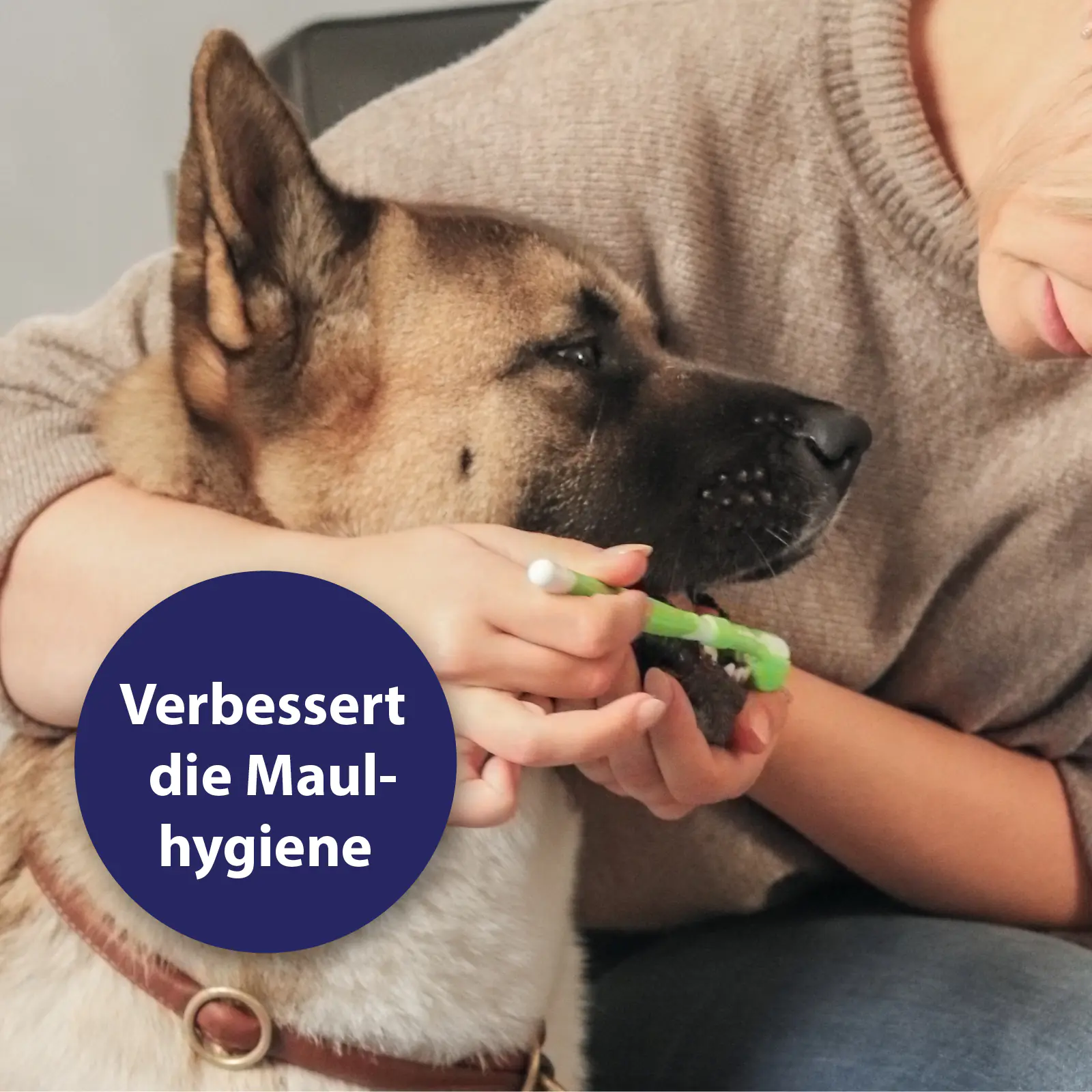 Canosept Zahnpflege-Set für Hunde 3-teilig