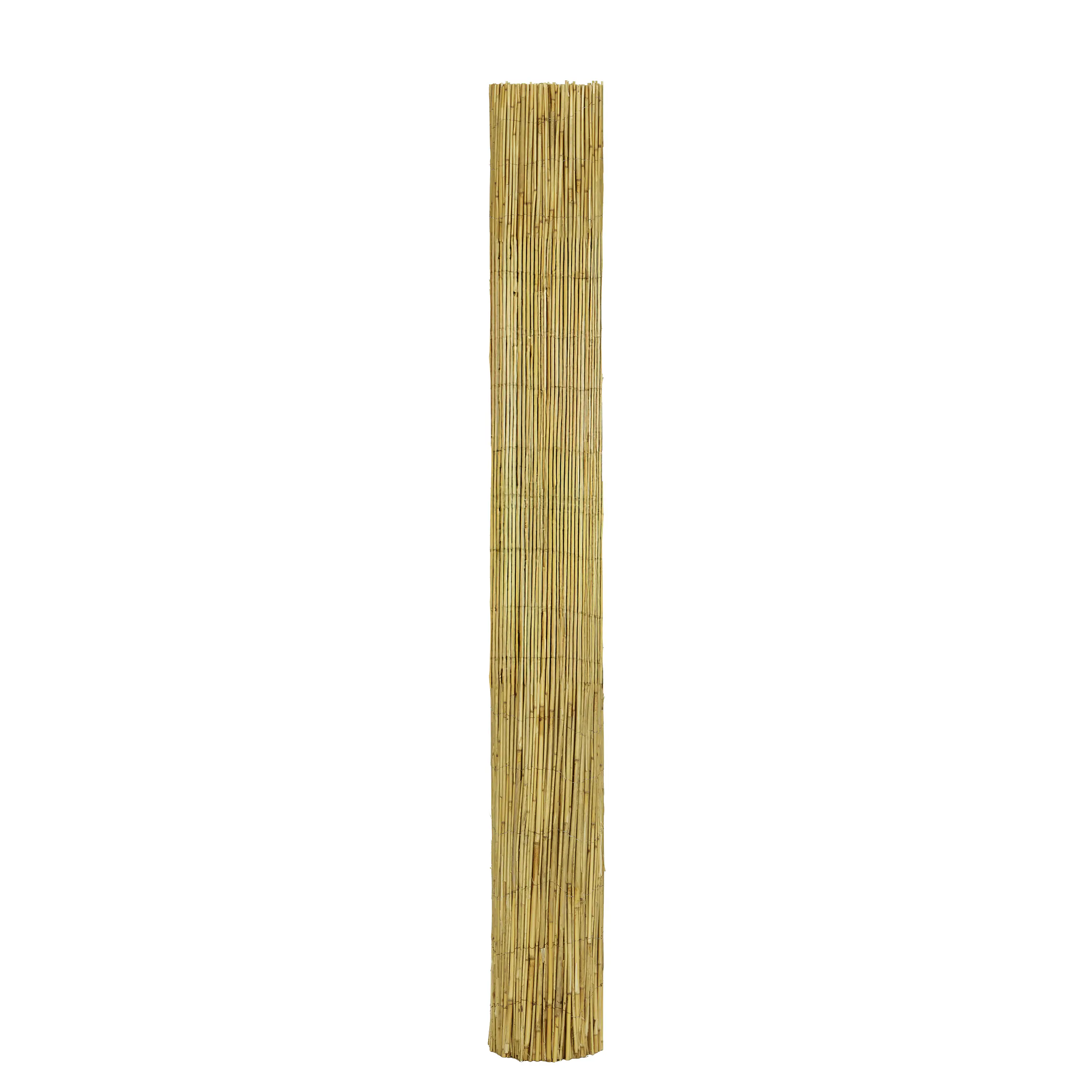 Schilfrohrmatte 1,6 x 6 m