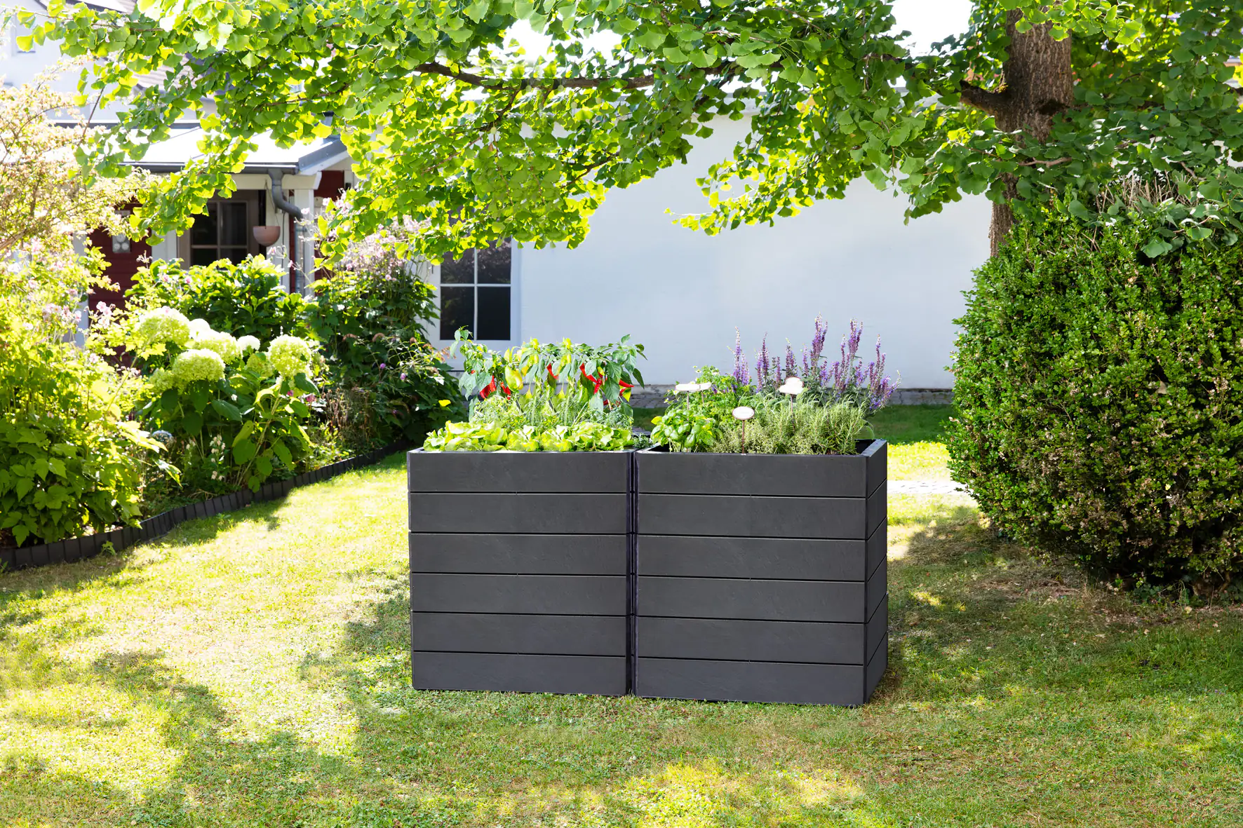 Garantia Hochbeet Ergo Quadro L 80 x 80 x 25 cm (L x B x H)