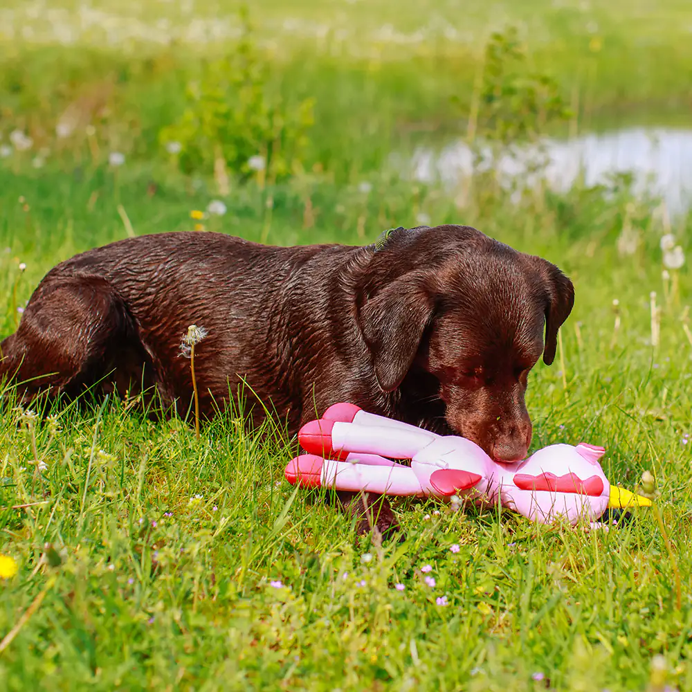 Nobby Wasserspielzeug Hund Einhorn Floating 39,5 cm rosa