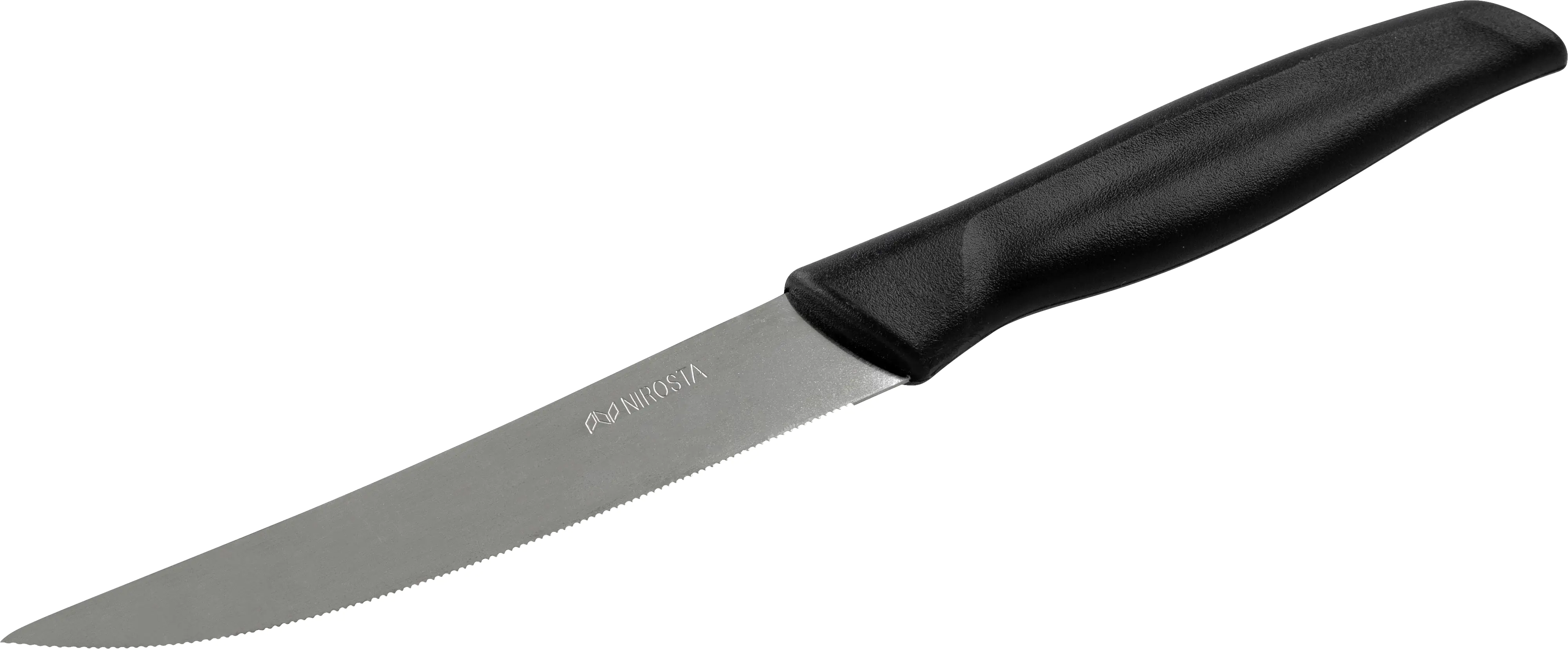 Nirosta Vespermesser Basic 21 cm 