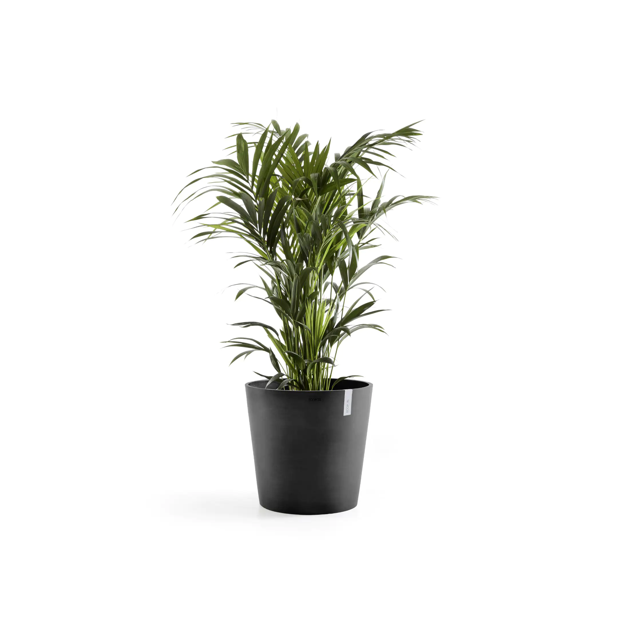 Ecopots Pflanztopf Amsterdam Ø 50 x 43,8 cm dunkelgrau