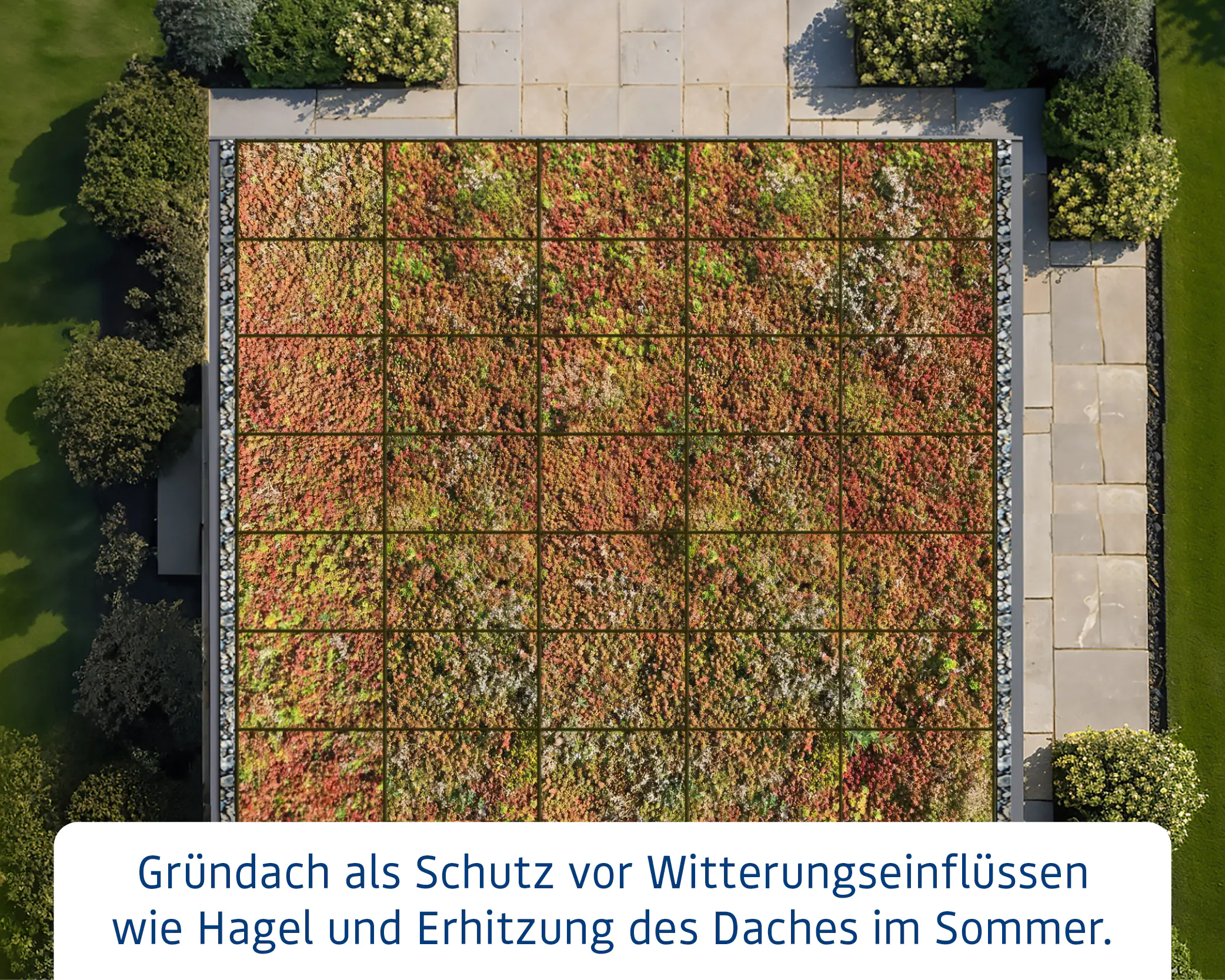 EcoStar Dachrahmen für Gründach Pultdach Typ 2 grün
