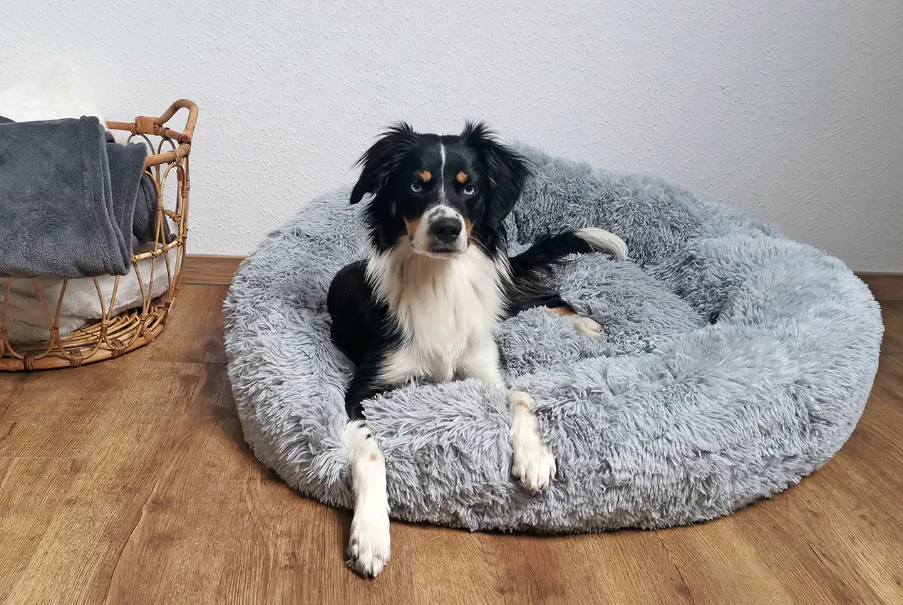 Nobby Hundebett & Katzenbett Donut Classic Esla 70 x 26 cm grau