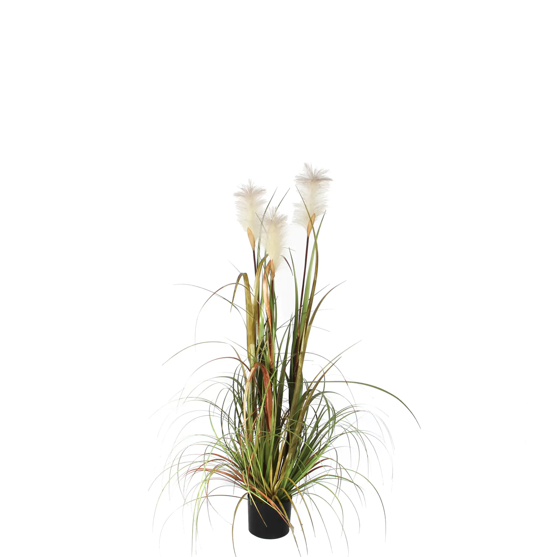 Mica Kunstpflanze Federgras Foxtail im Topf grün, 120 x 45 cm