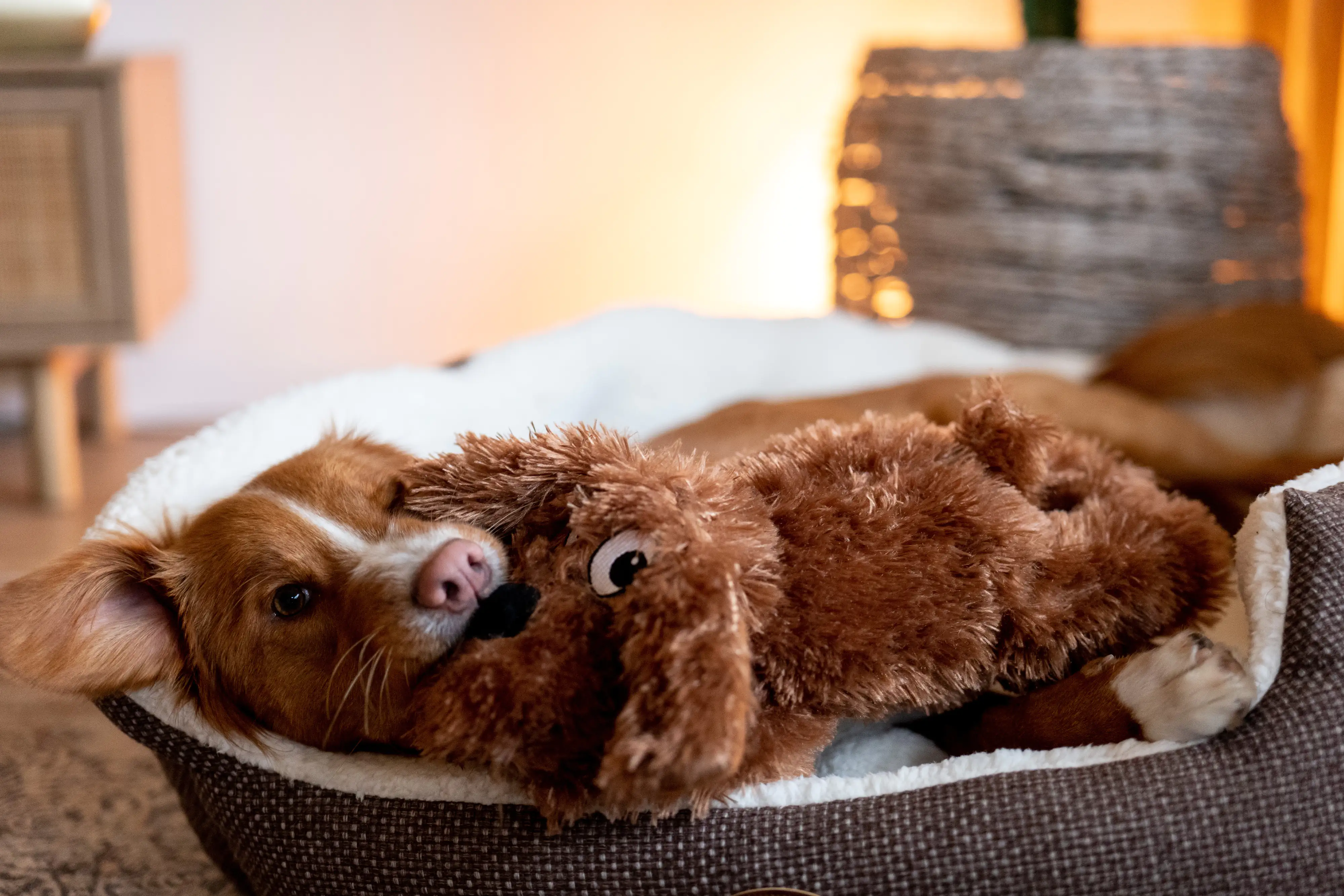 Nobby Hunde Kuscheltier Hund Schlappi 39 cm