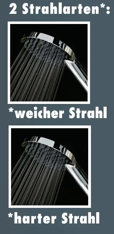 Primaster Handbrause 2 Strahlarten Water Joy schwarz mit Wasserspareinsatz