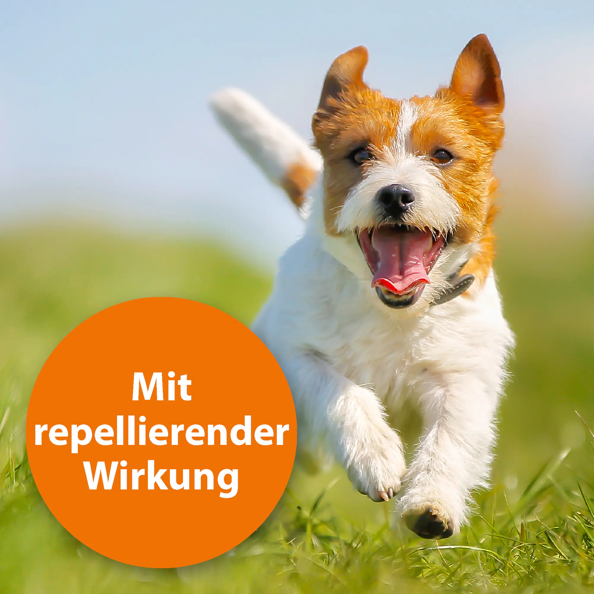 ARDAP Zecken- und Flohschutzpuder für Tiere 150 g