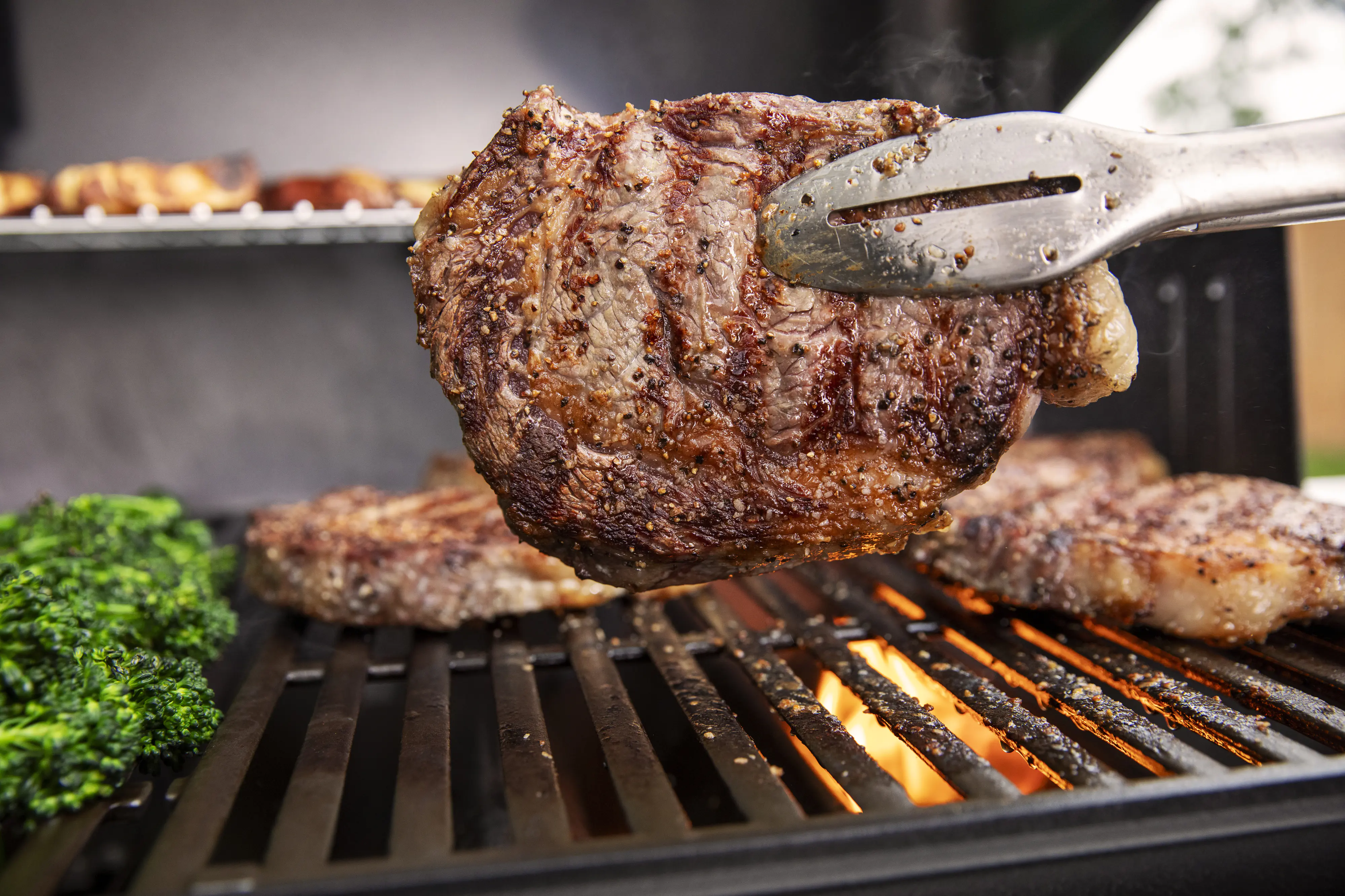 Weber Gasgrill Genesis E-315 Grillfläche: 68 x 48 cm
