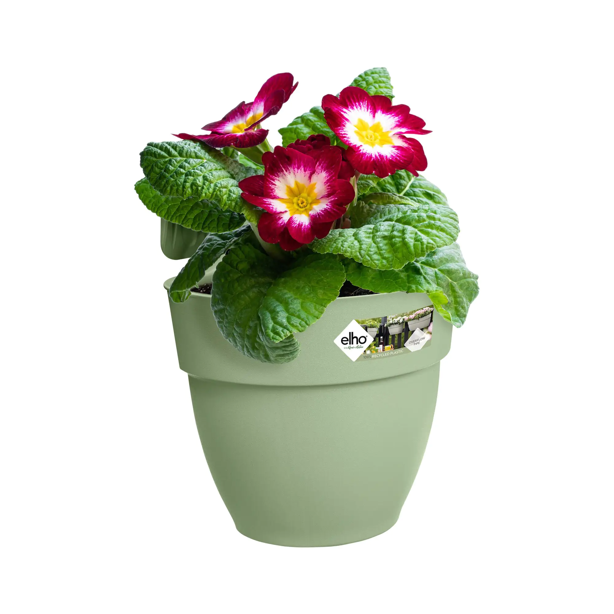 Elho Blumentopf zum Hängen Kunststoff grün 20,5 x 24,1 x 26,5 cm Vibia Campana Easy Small