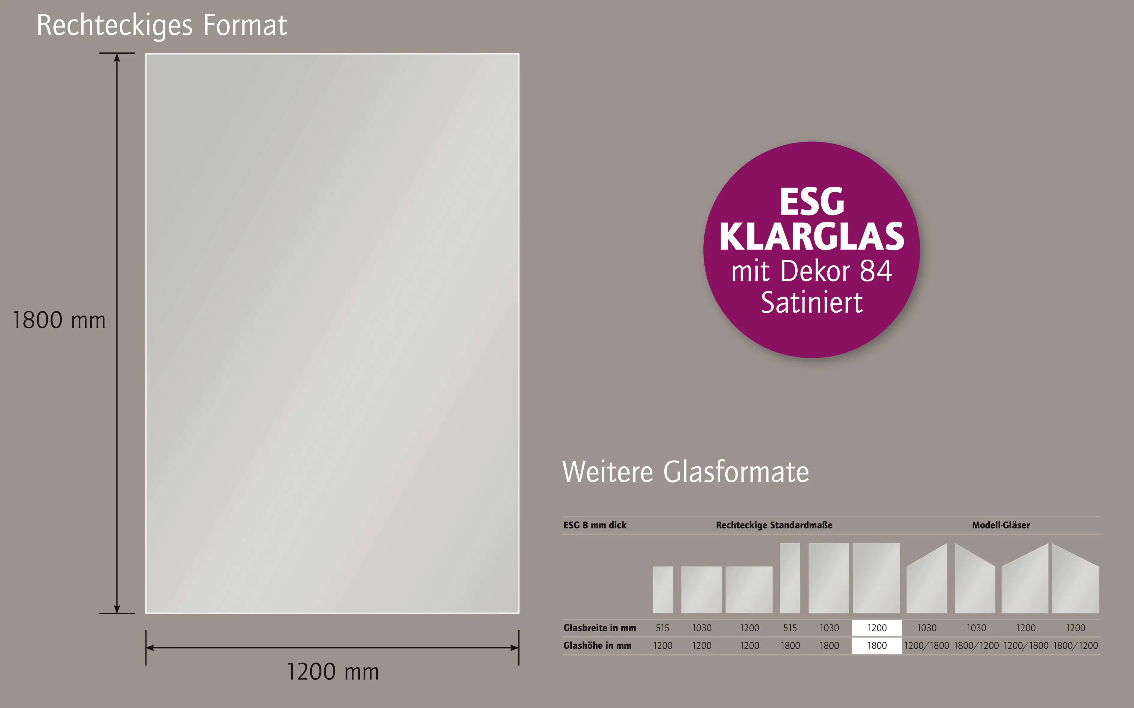 Ambiente Glaszaun Dekor 84 120 x 180 cm gehärtetes 8 mm Glas
