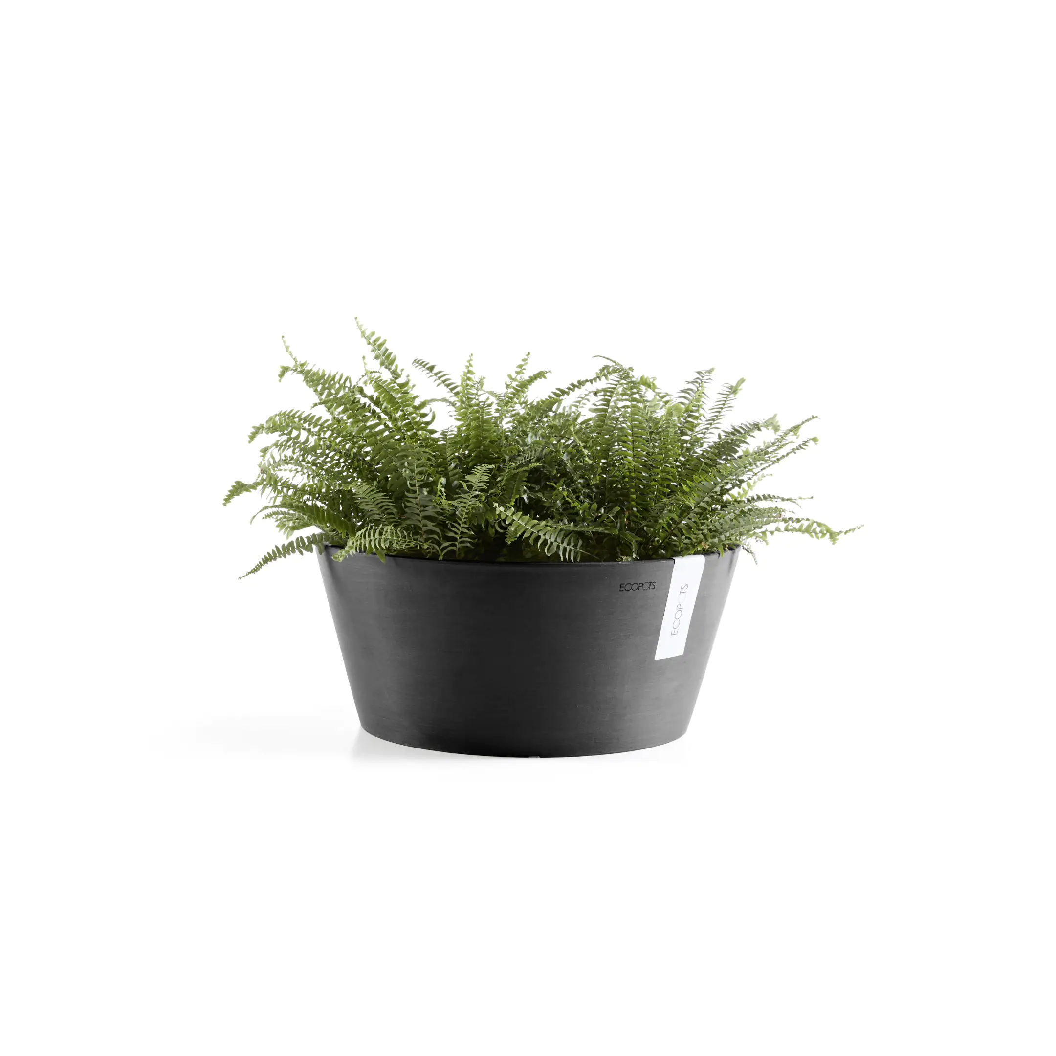 Ecopots Pflanztopf Frankfurt Ø 41 x 18 cm dunkelgrau
