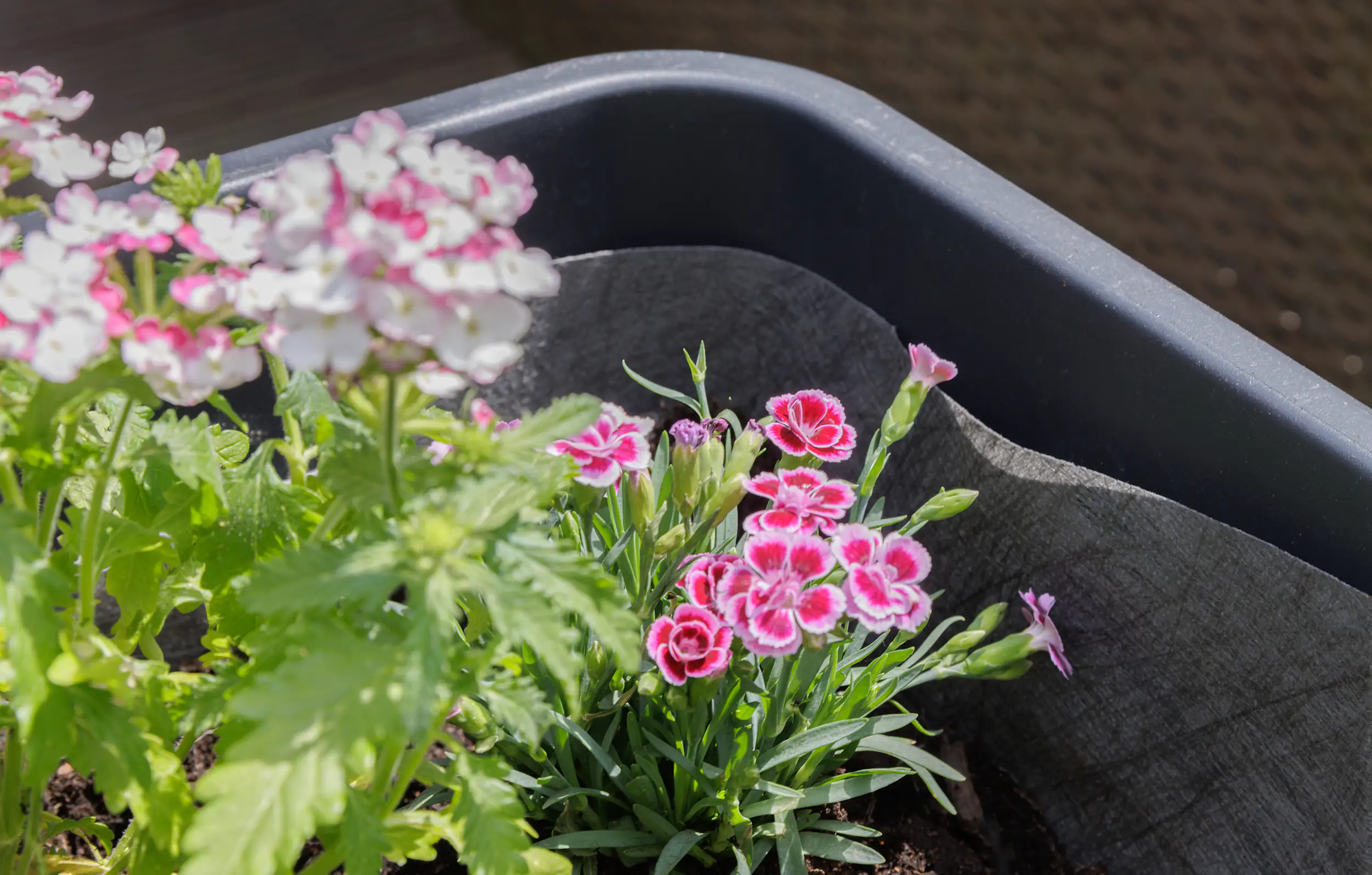Premium Garden Blumenkastenvlies 1 x 1 m