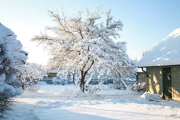 Gartenarbeit im Winter
