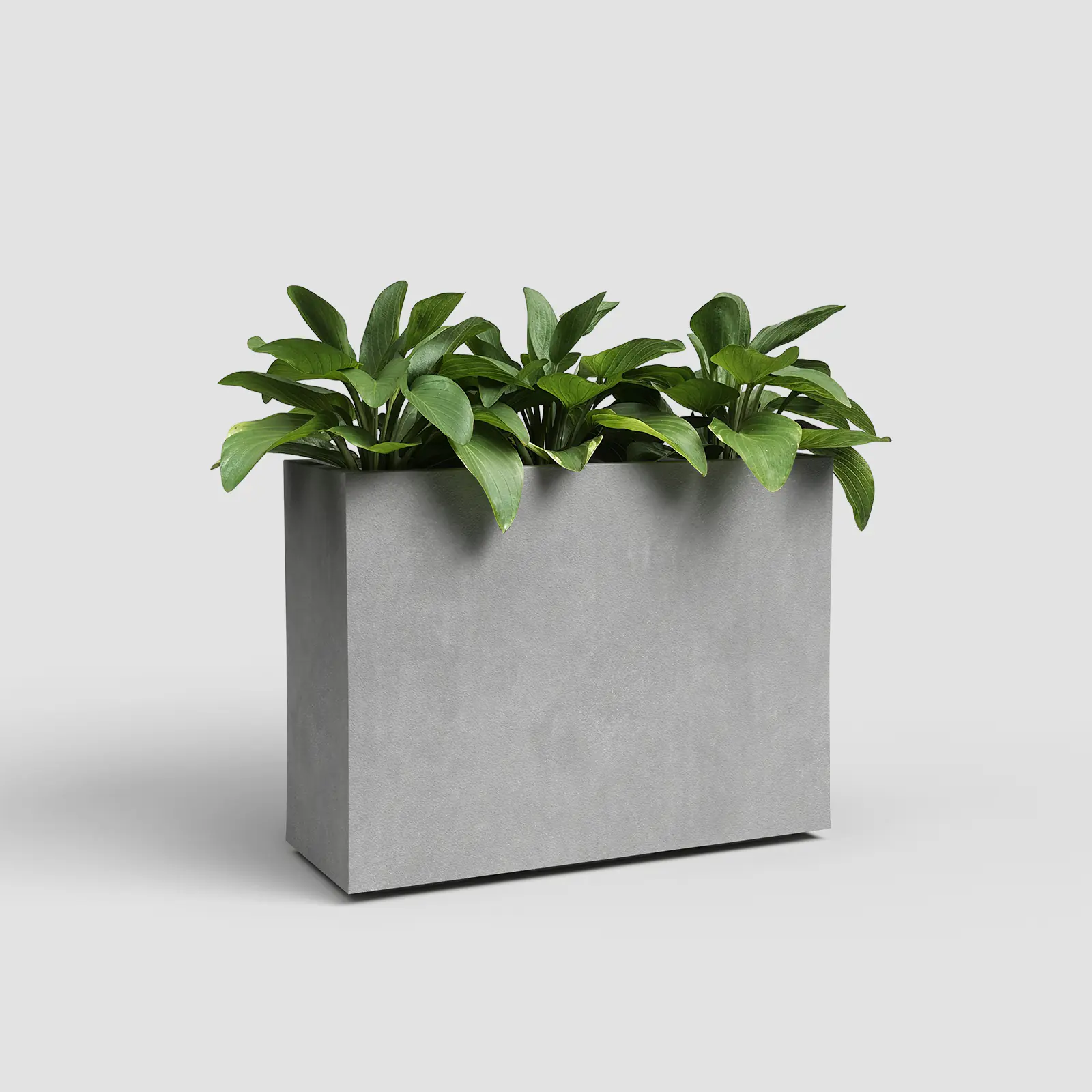 Artevasi Blumenkasten Sydney Kunststoff 80 x 68 cm hellgrau
