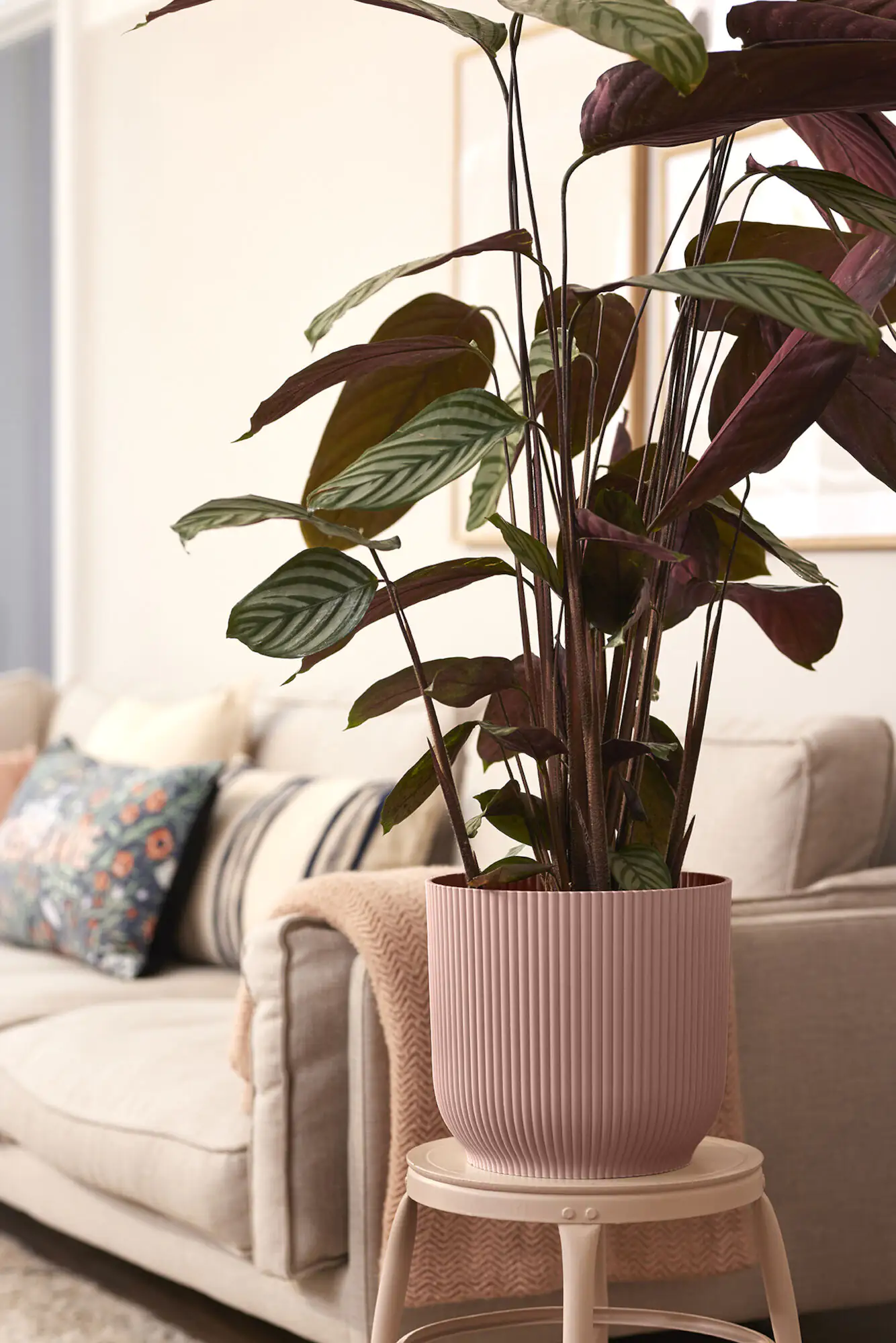 Elho Blumentopf Vibes Fold Ø 30 x 27 cm zartrosa