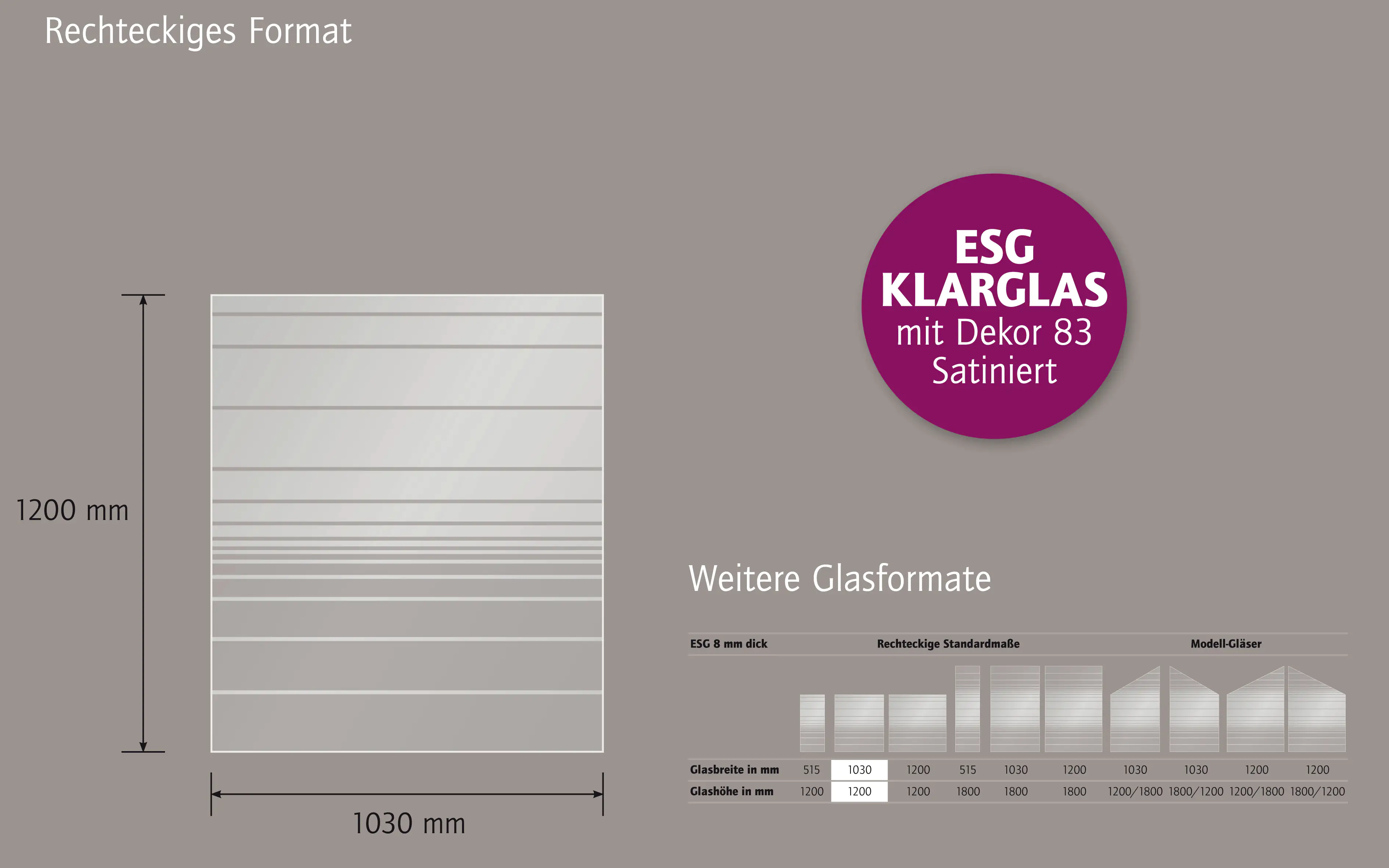 Ambiente Glaszaun Dekor 83 103 x 120 cm gehärtetes 8 mm Glas