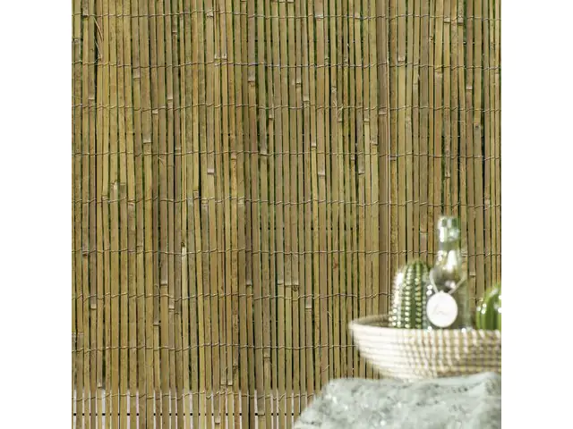 Windhager Sichtschutzmatte Mitake 200 x 300 cm