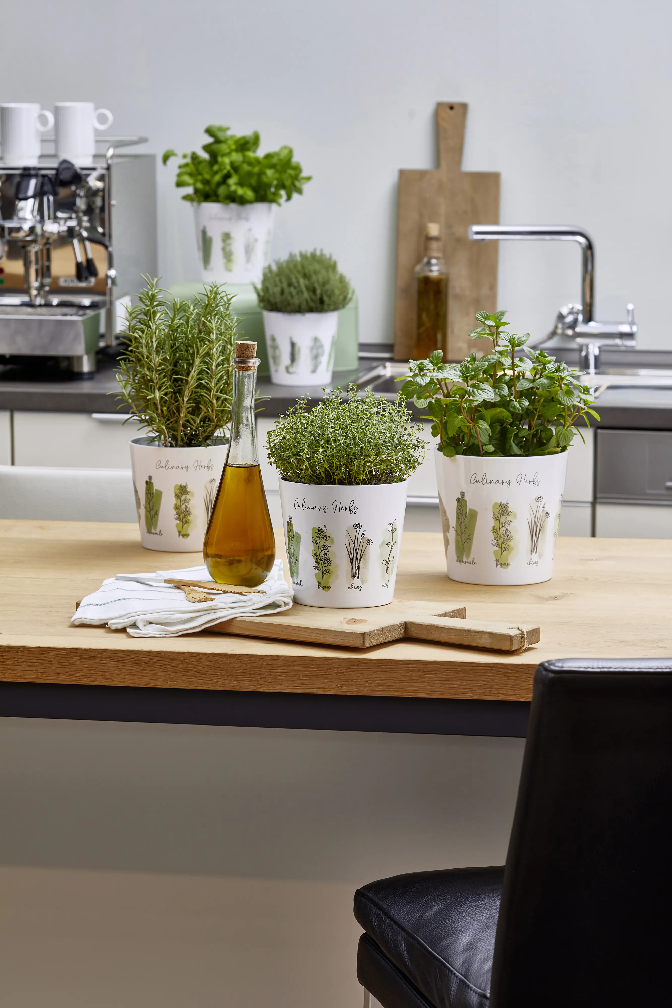 Scheurich Übertopf Culinary Herbs Ø 14 x 13,2 cm weiß-grün
