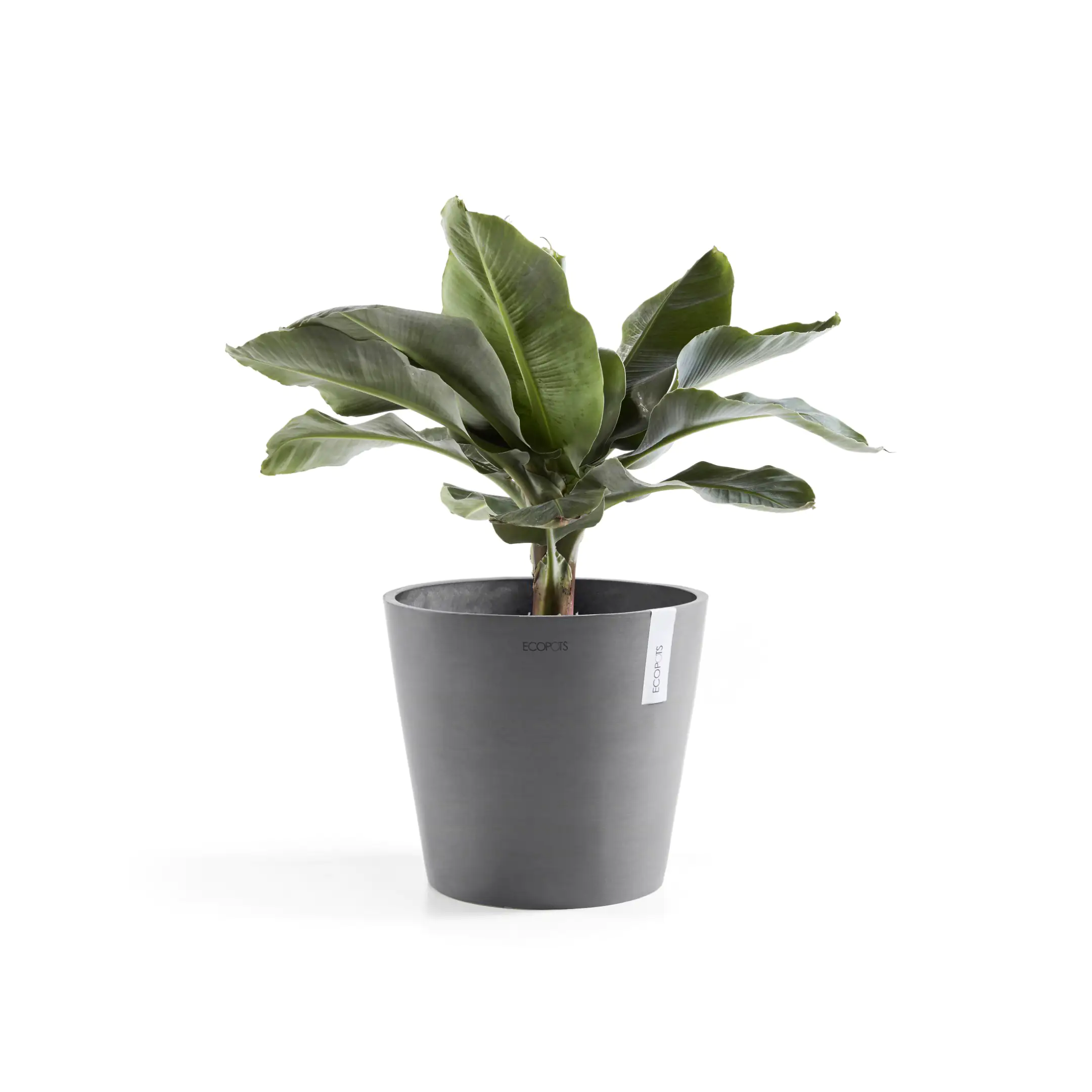 Ecopots Pflanztopf Amsterdam Ø 40 x 35 cm grau