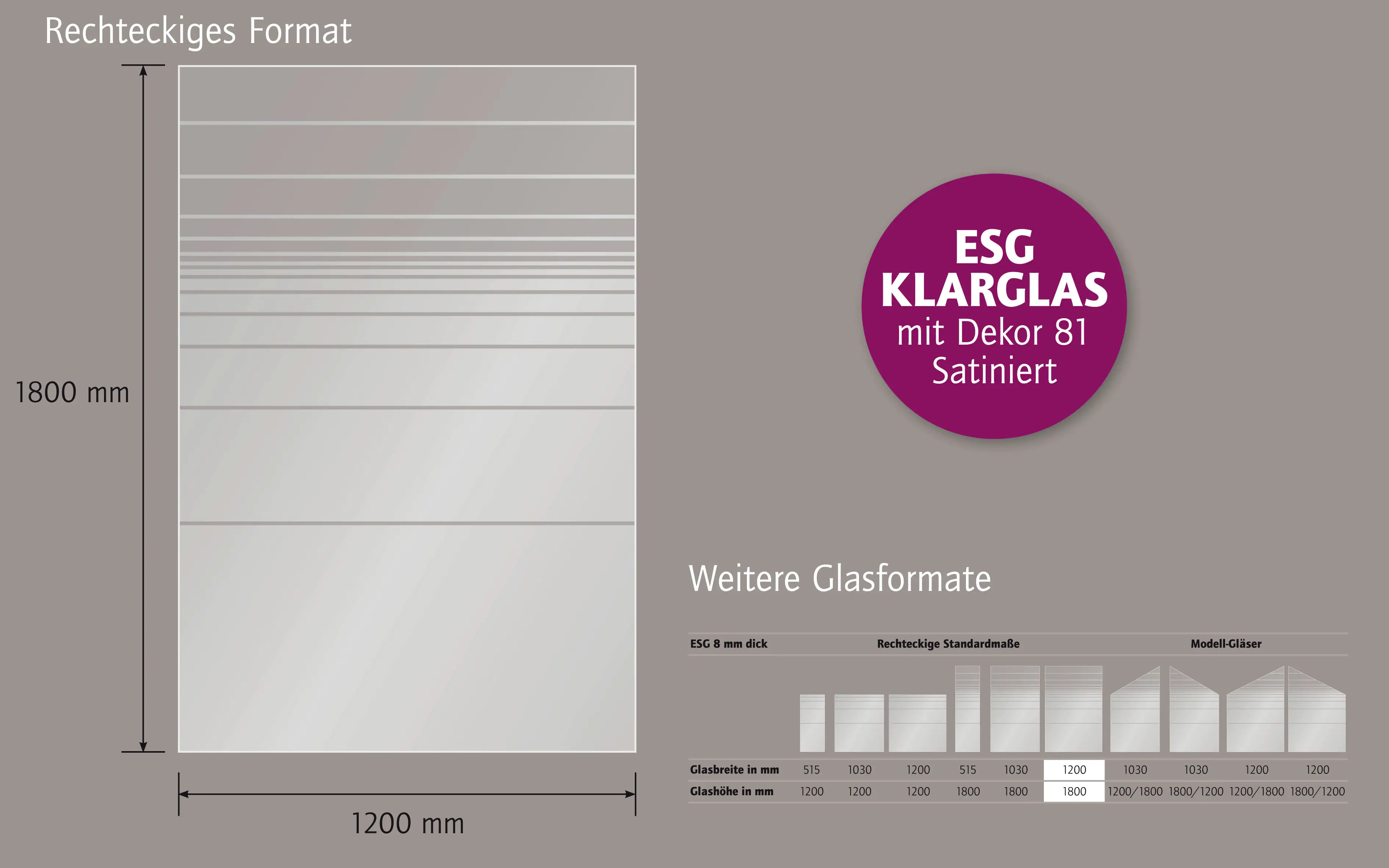 Ambiente Glaszaun Dekor 81 120 x 180 cm gehärtetes 8 mm Glas