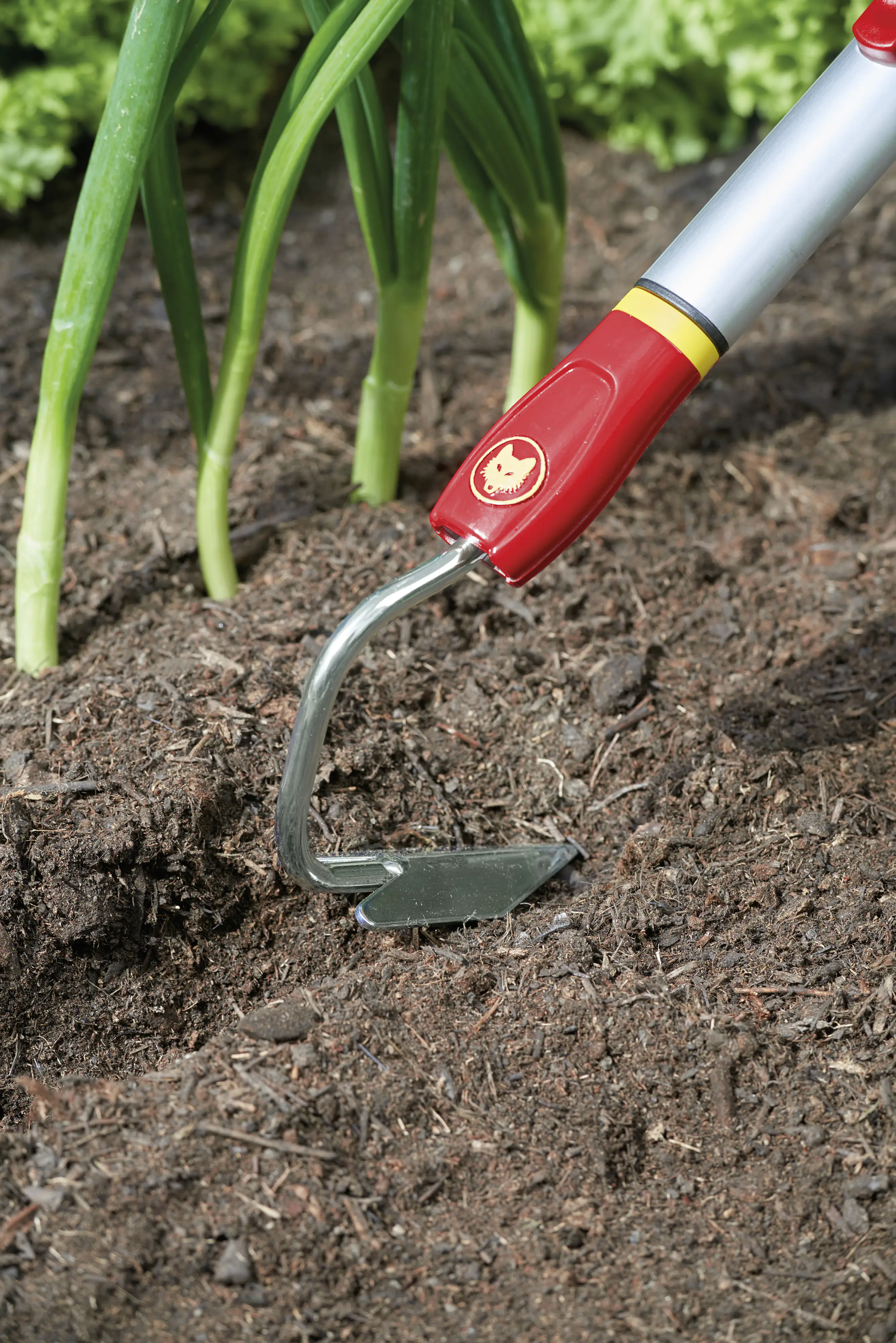 Wolf Garten Lüfter Multi-Star BI-M 3,5 cm Arbeitsbreite
