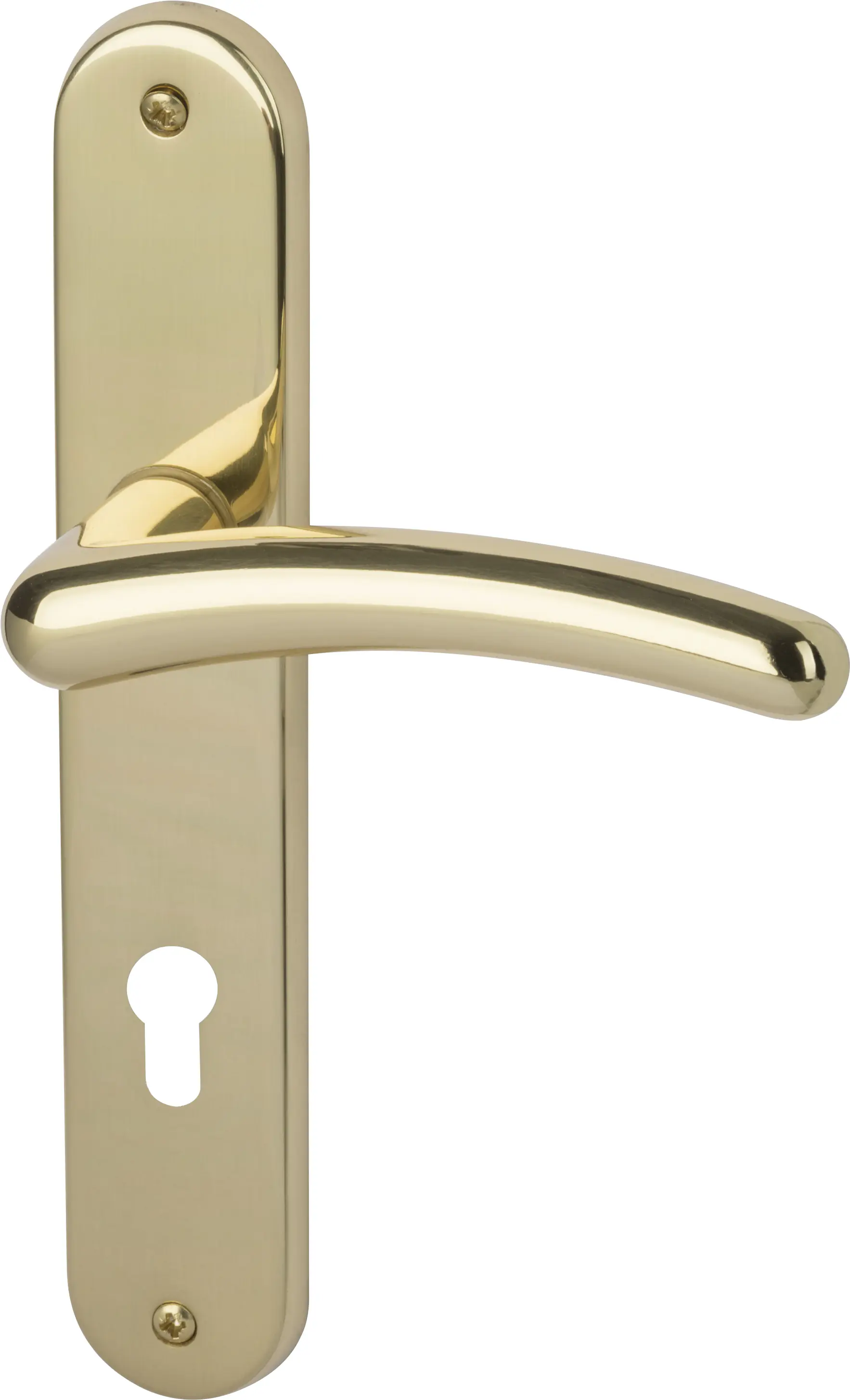 Südmetall Türgriff-Garnitur Langschild Franziska PZ Messing poliert gold 225 x 40 mm