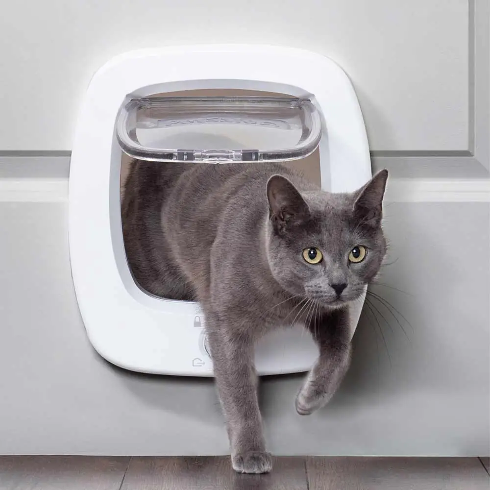 Nobby Katzenklappe für große Katzen oder kleine Hunde weiß