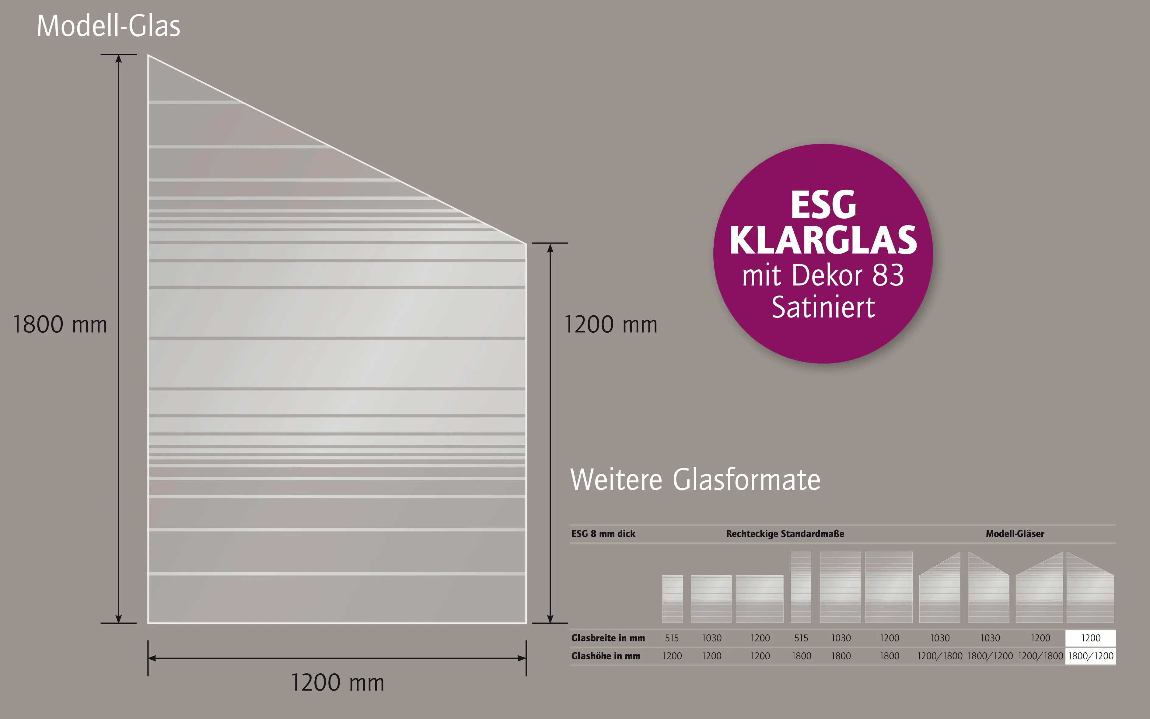 Ambiente Glaszaun schräg B: 120 x H: L 180/R 120 cm, gehärtetes 8 mm Glas