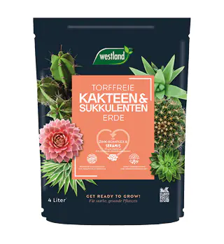 Westland Kakteen Sukkulenten Erde torffrei 4 L