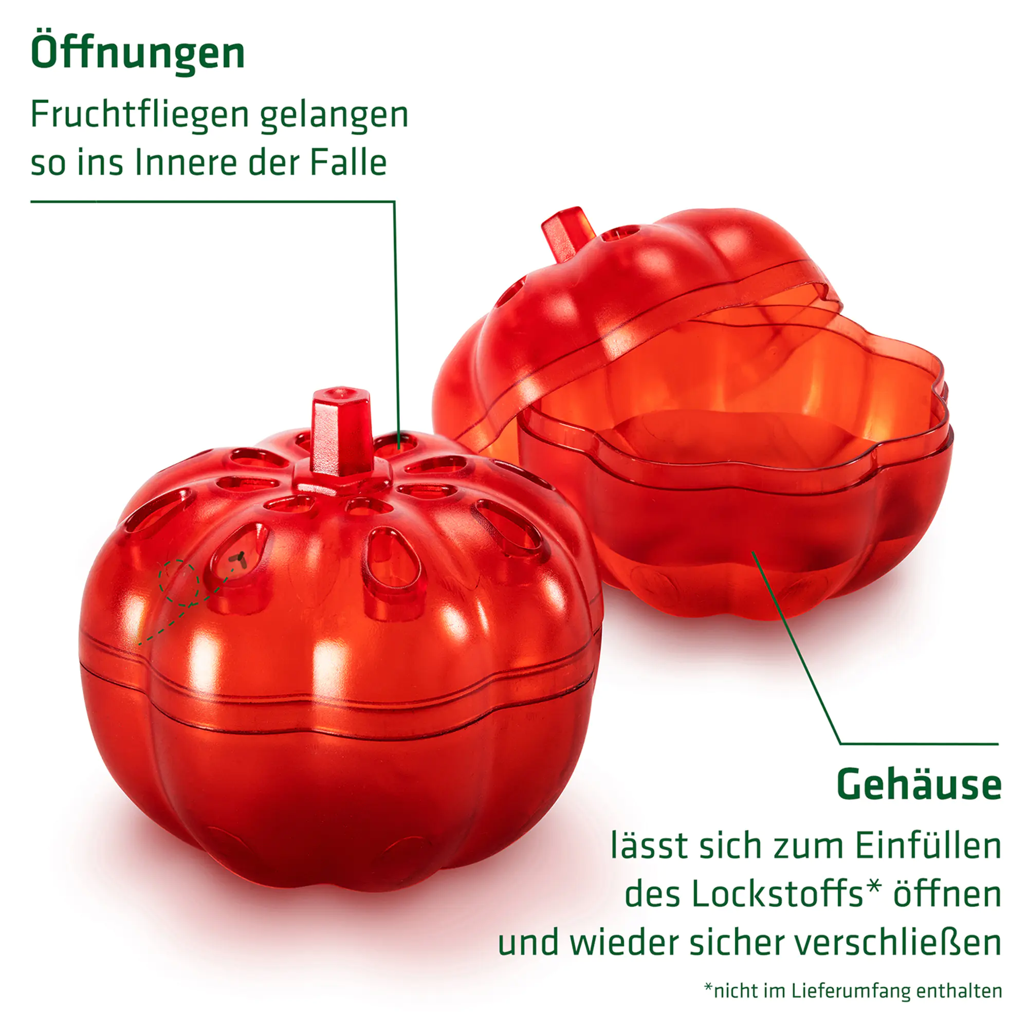 Gardigo Fruchtfliegen-Falle Mini 2er-Set