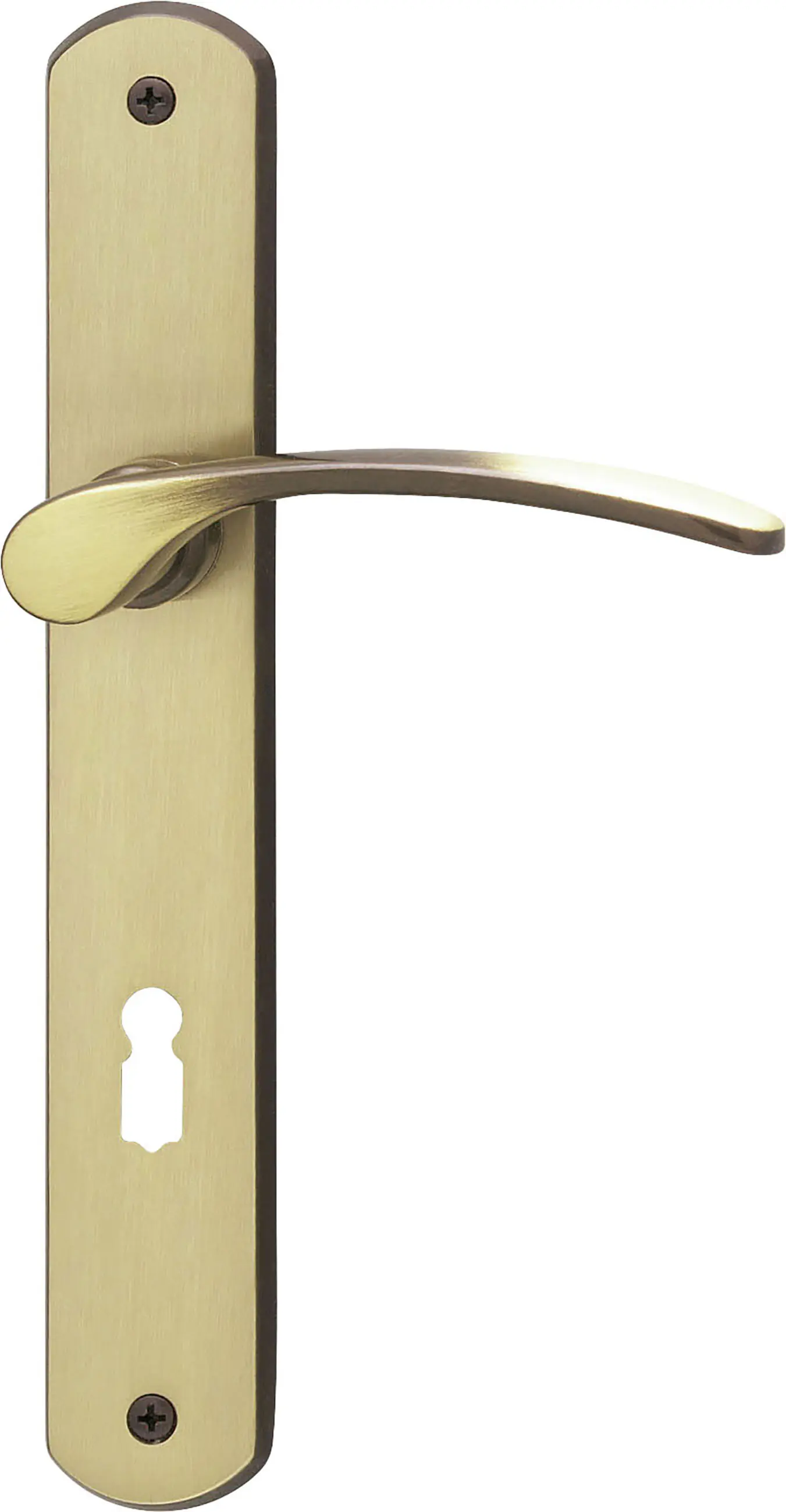 Südmetall Türgriff-Garnitur Langschild Amos BB Messing brüniert bronze 225 x 37 mm