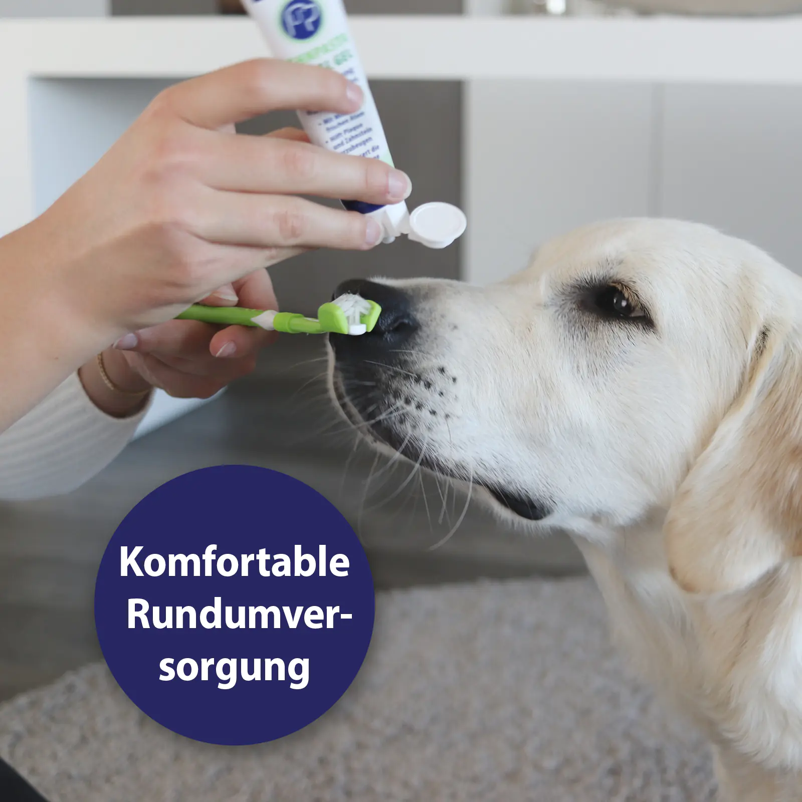 Canosept Zahnpflege-Set für Hunde 3-teilig