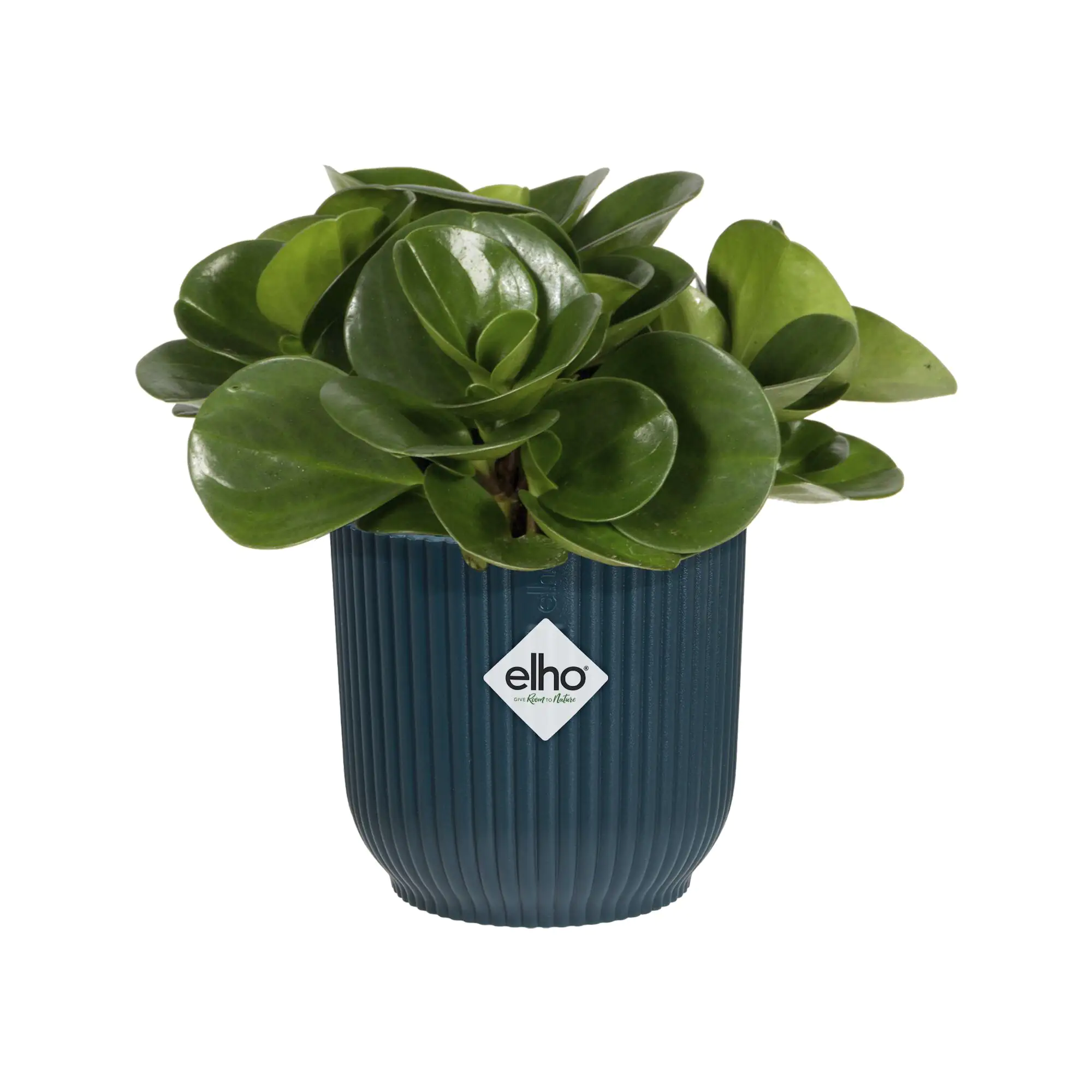 Elho Blumentopf Vibes Fold Ø 11 x 11 cm tiefes blau