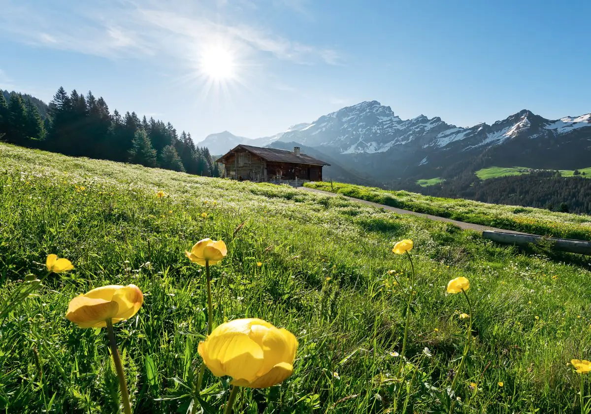 Komar Vlies Fototapete Alpenglück 400 x 280 cm 