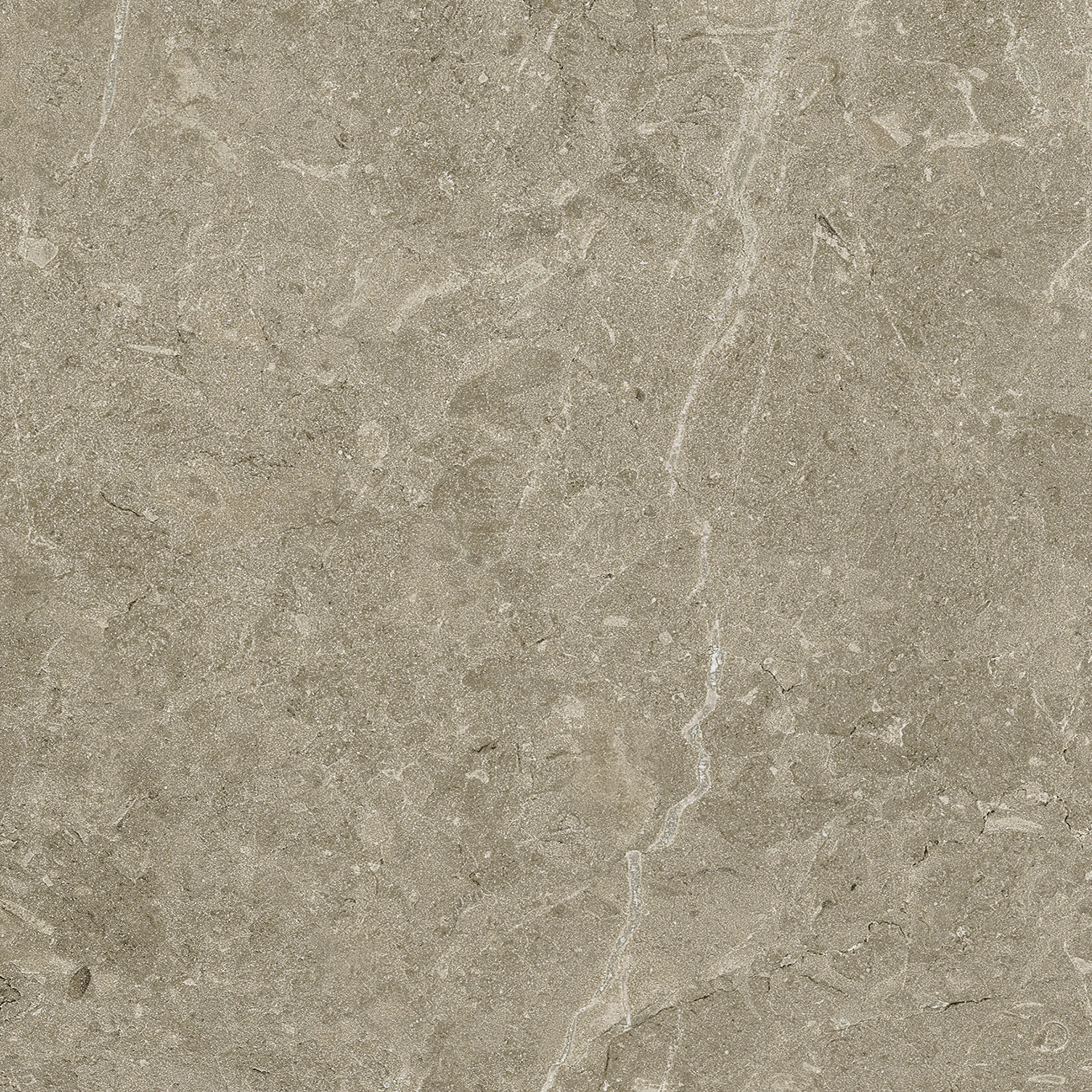 Terrassenplatte Botticino 60 x 60 cm Taupe