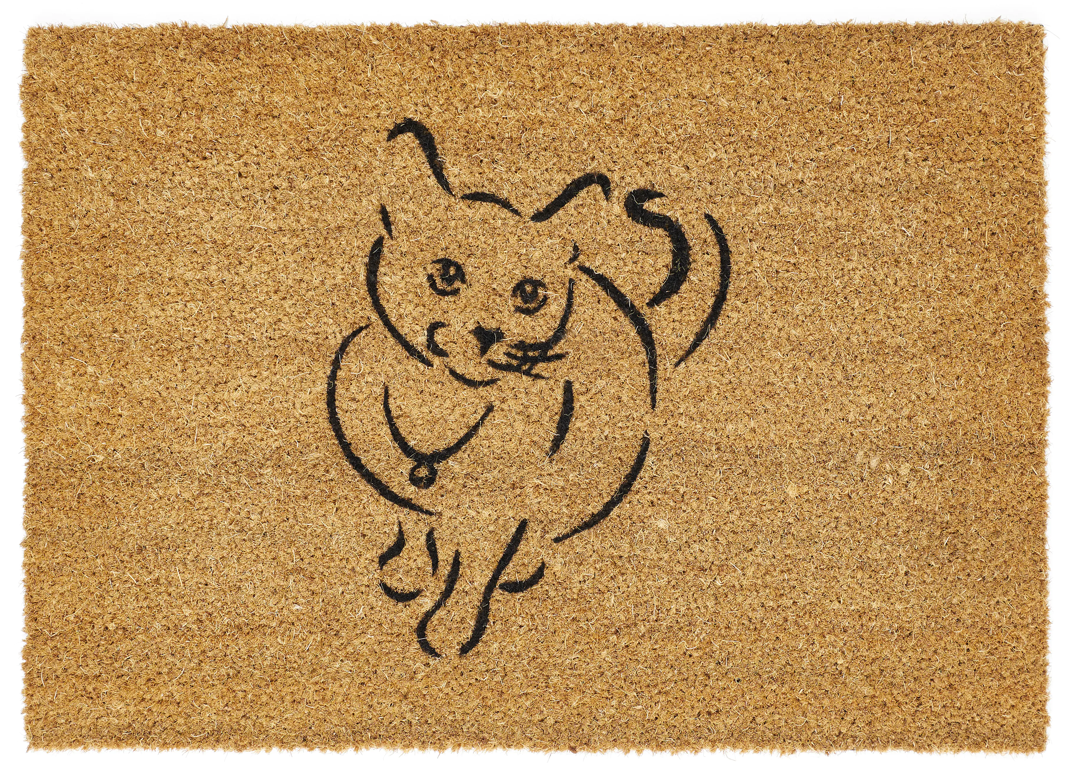Fußmatte Kokos Pets 40 x 60 cm Cat
