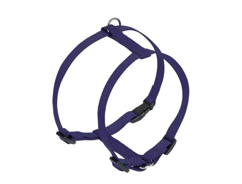 Nobby Hundegeschirr Classic S blau