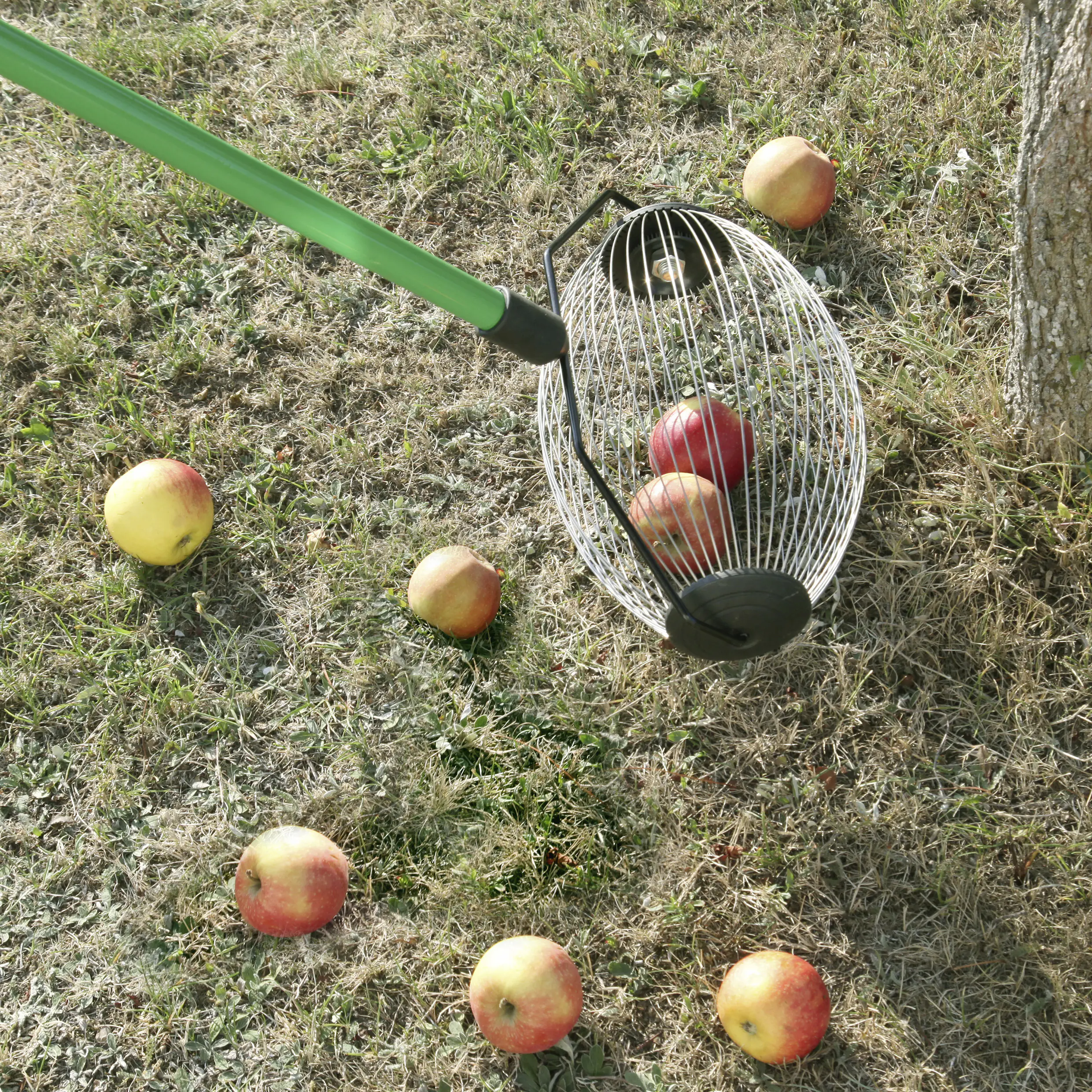 Obstpflücker Classic 100 x 30 cm inkl. Stiel