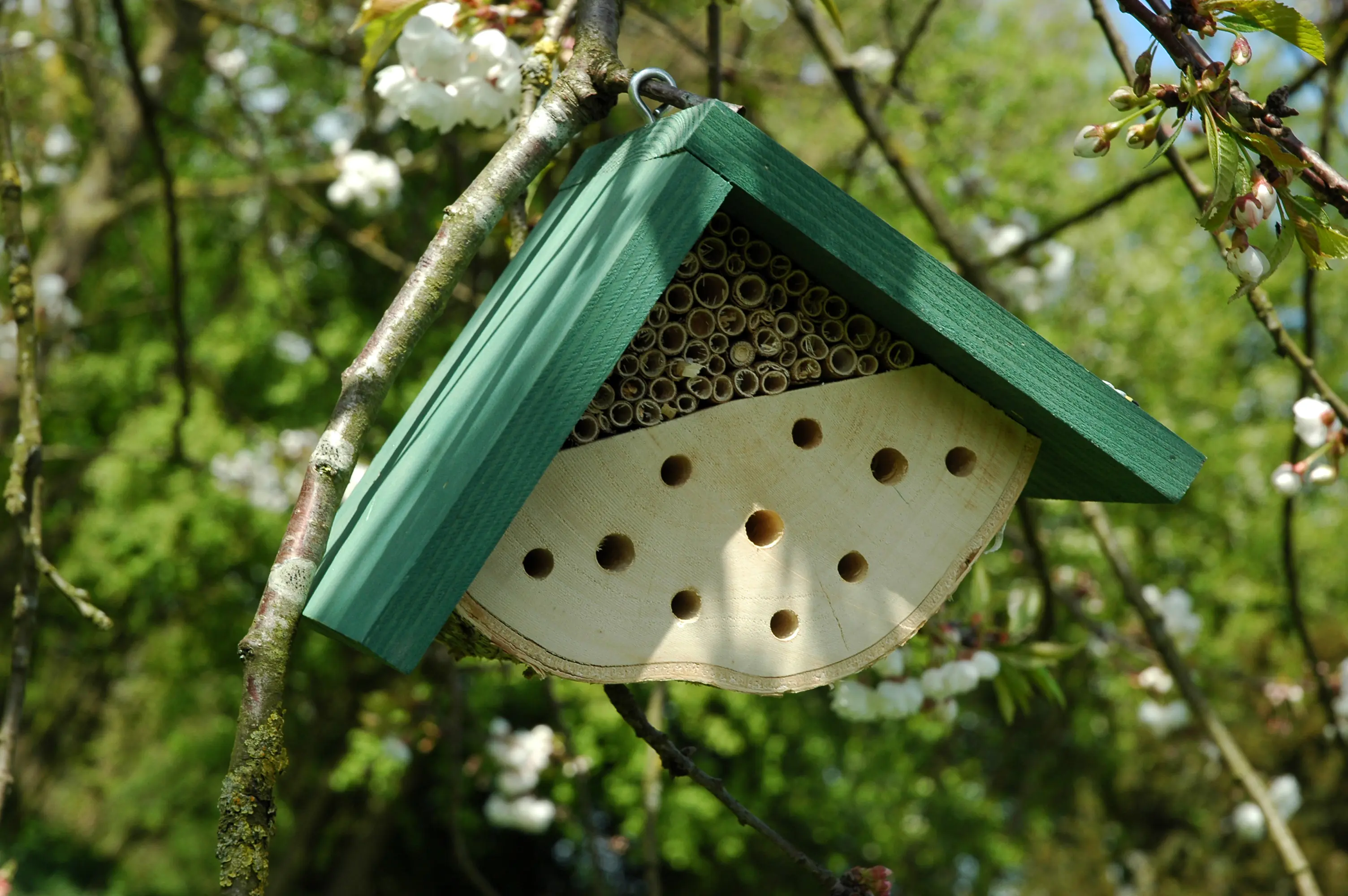 Dobar Insektenhotel Nisthilfe für Wildbienen 22 x 14 x 15 cm grün